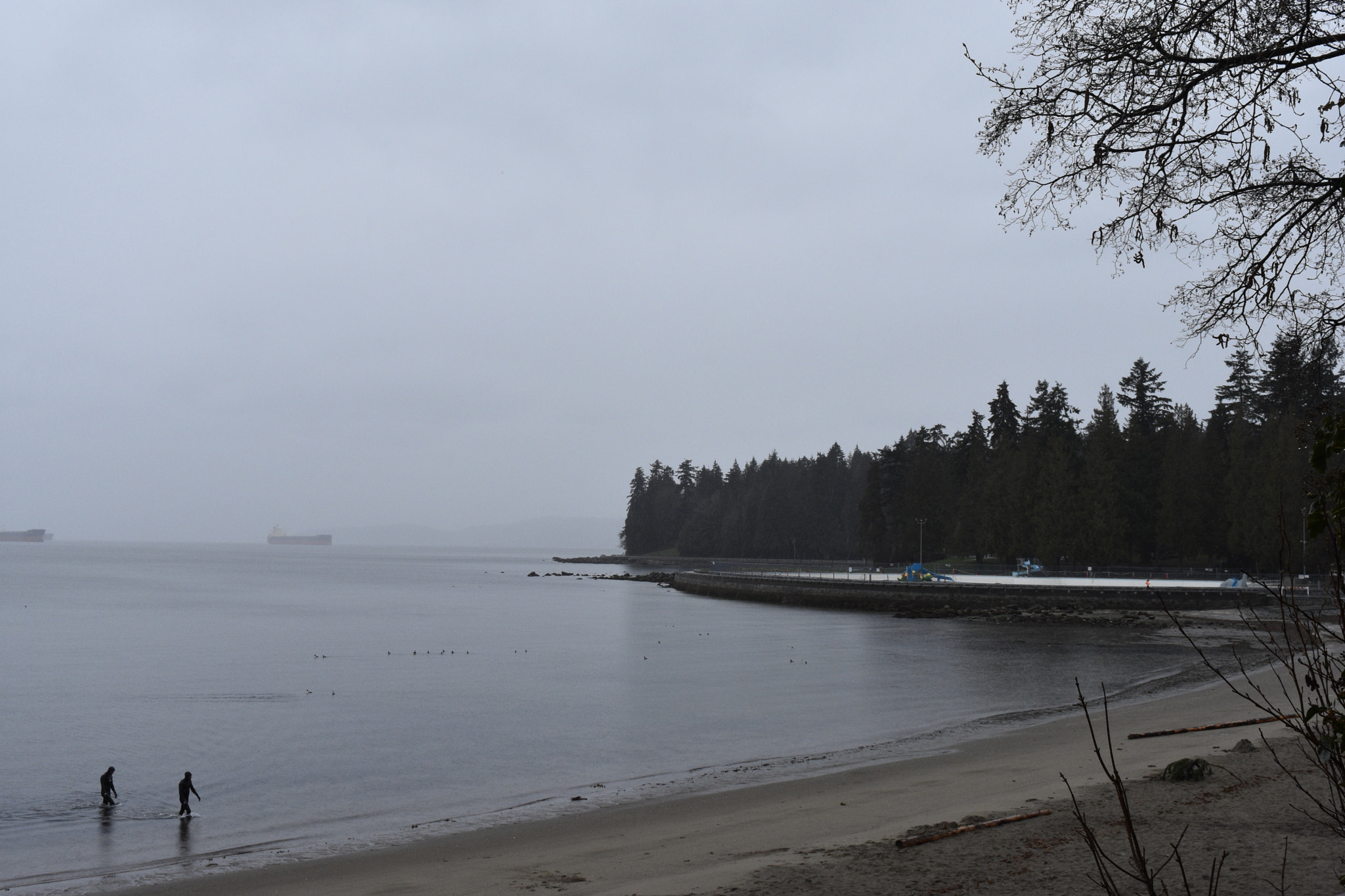 Nikon D7200 sample photo. The cold morning photography