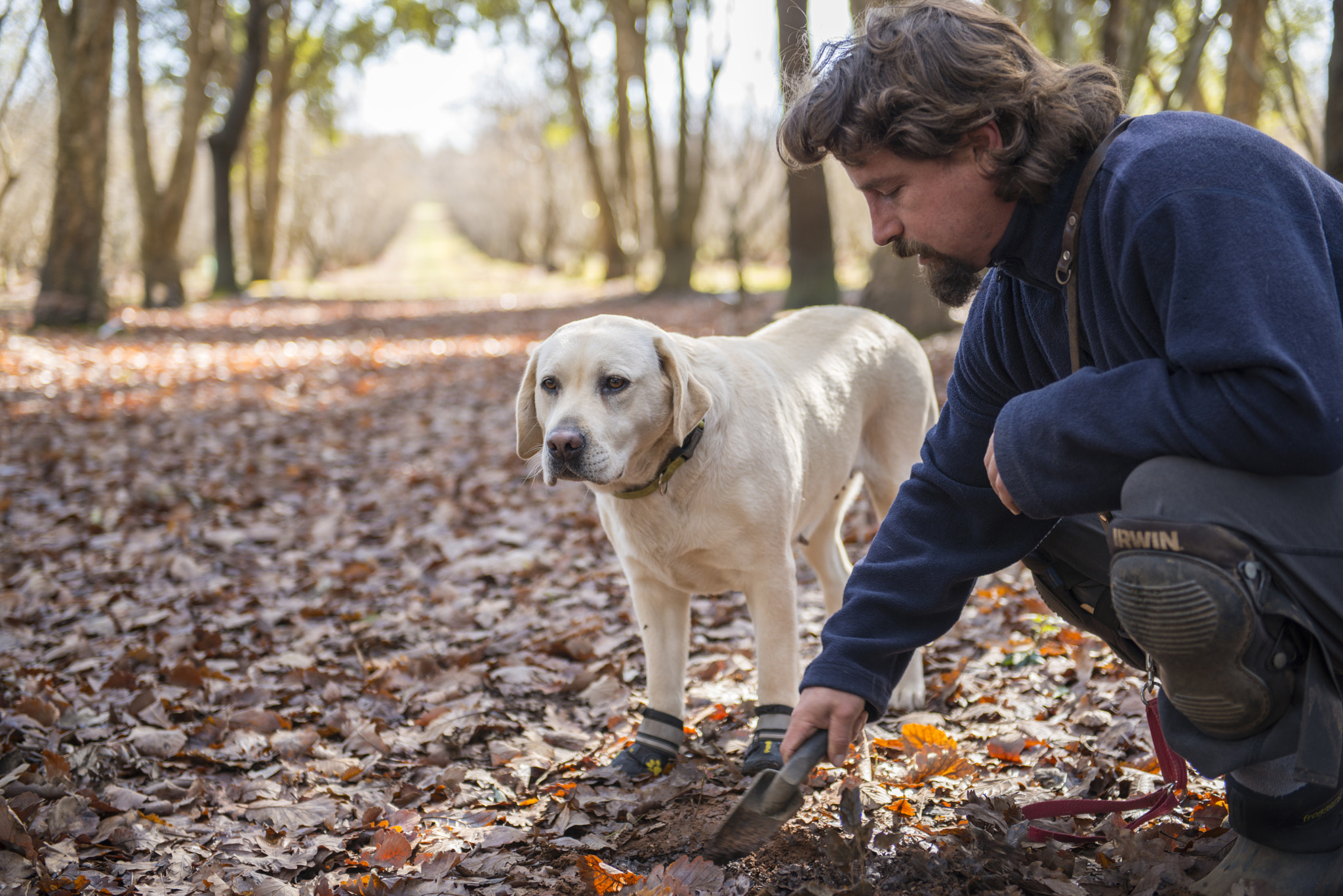Nikon AF-S Nikkor 24-70mm F2.8G ED sample photo. Truffle hunt, in spring. photography