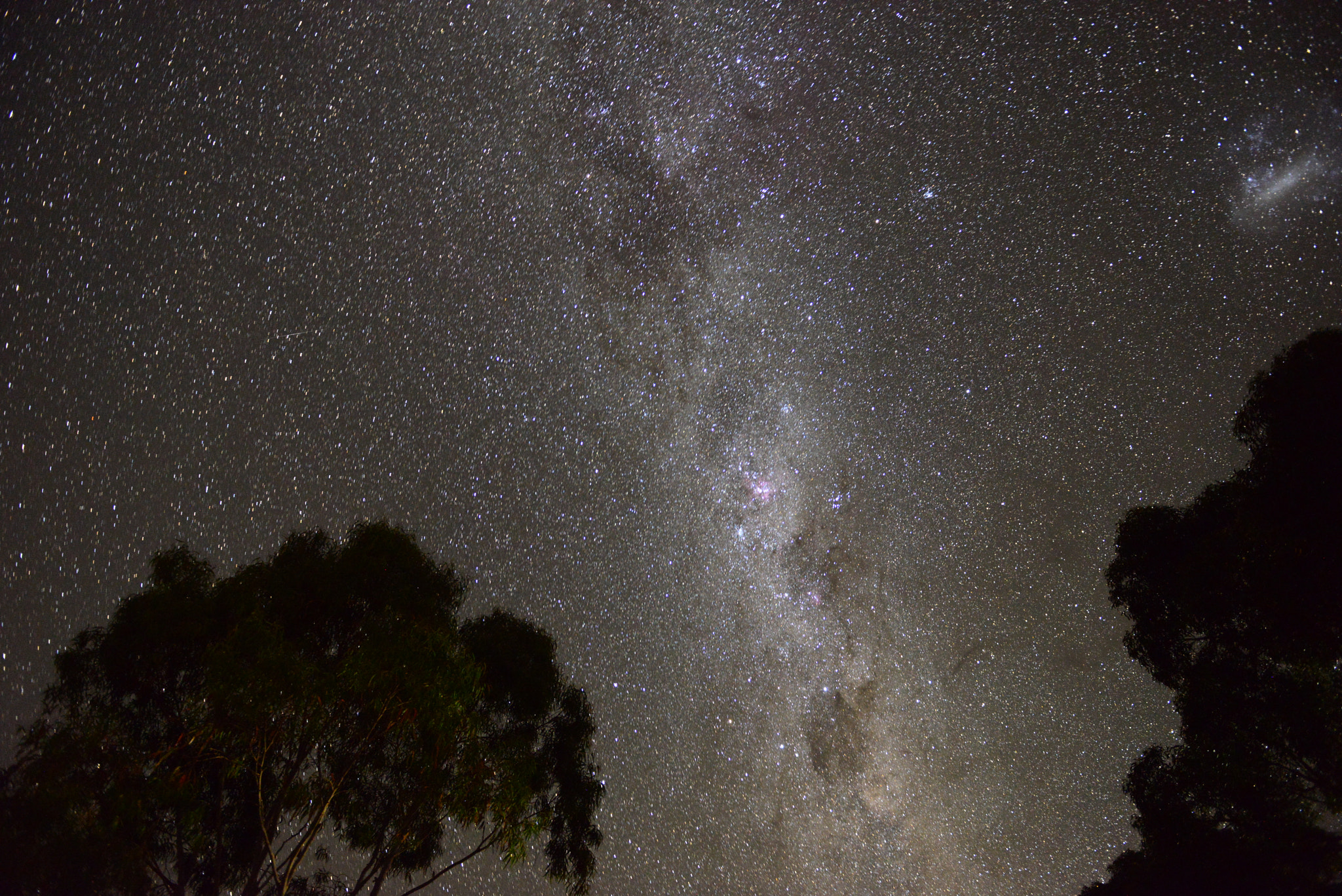 Nikon D800E sample photo. Night time on kangaroo island photography