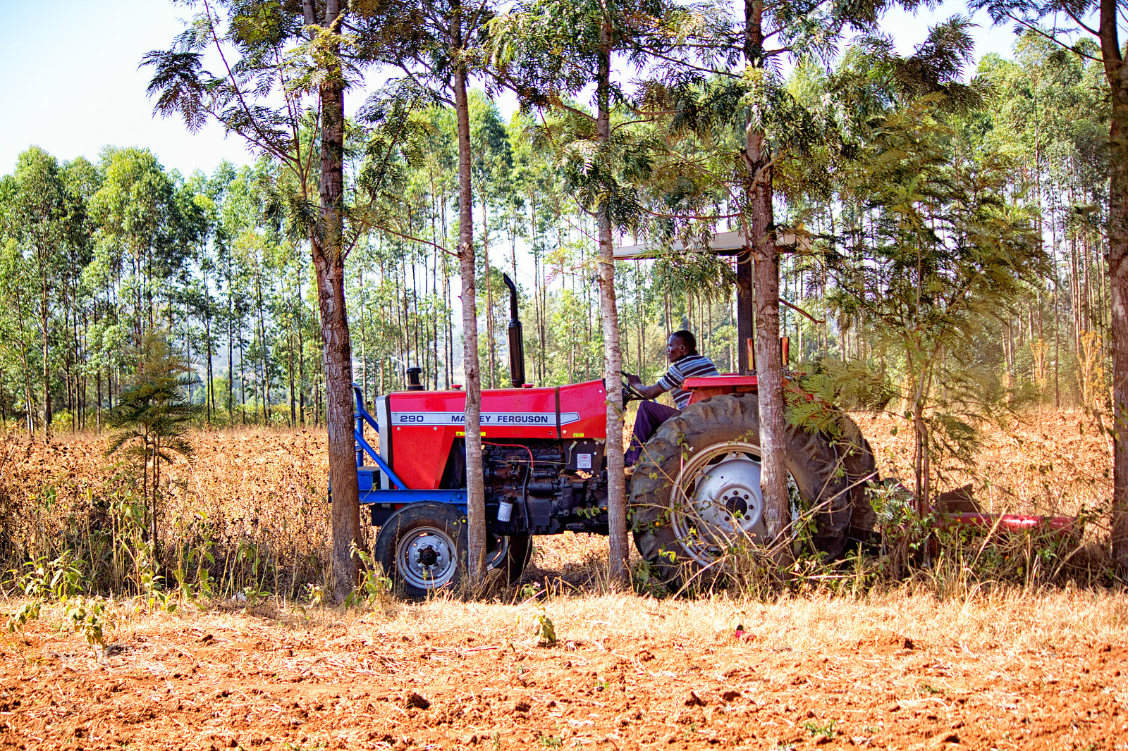 Canon EF-S 55-250mm F4-5.6 IS II sample photo. Tractor ploughing photography