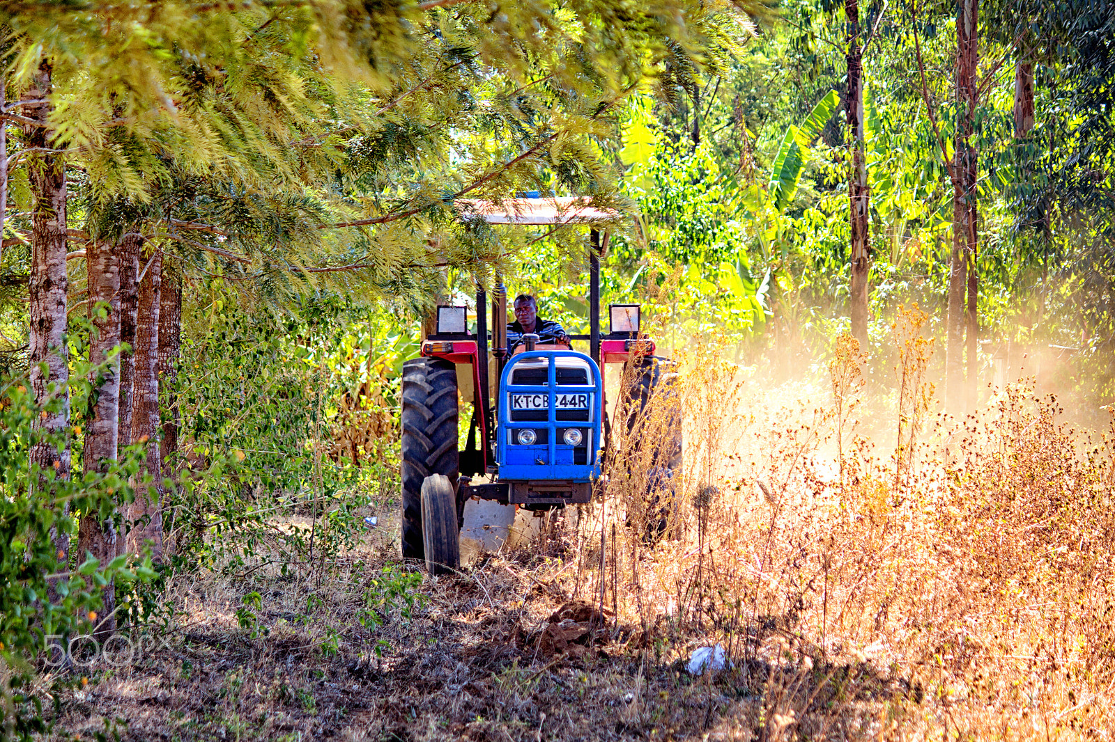 Canon EF-S 55-250mm F4-5.6 IS II sample photo. Tractor ploughing photography