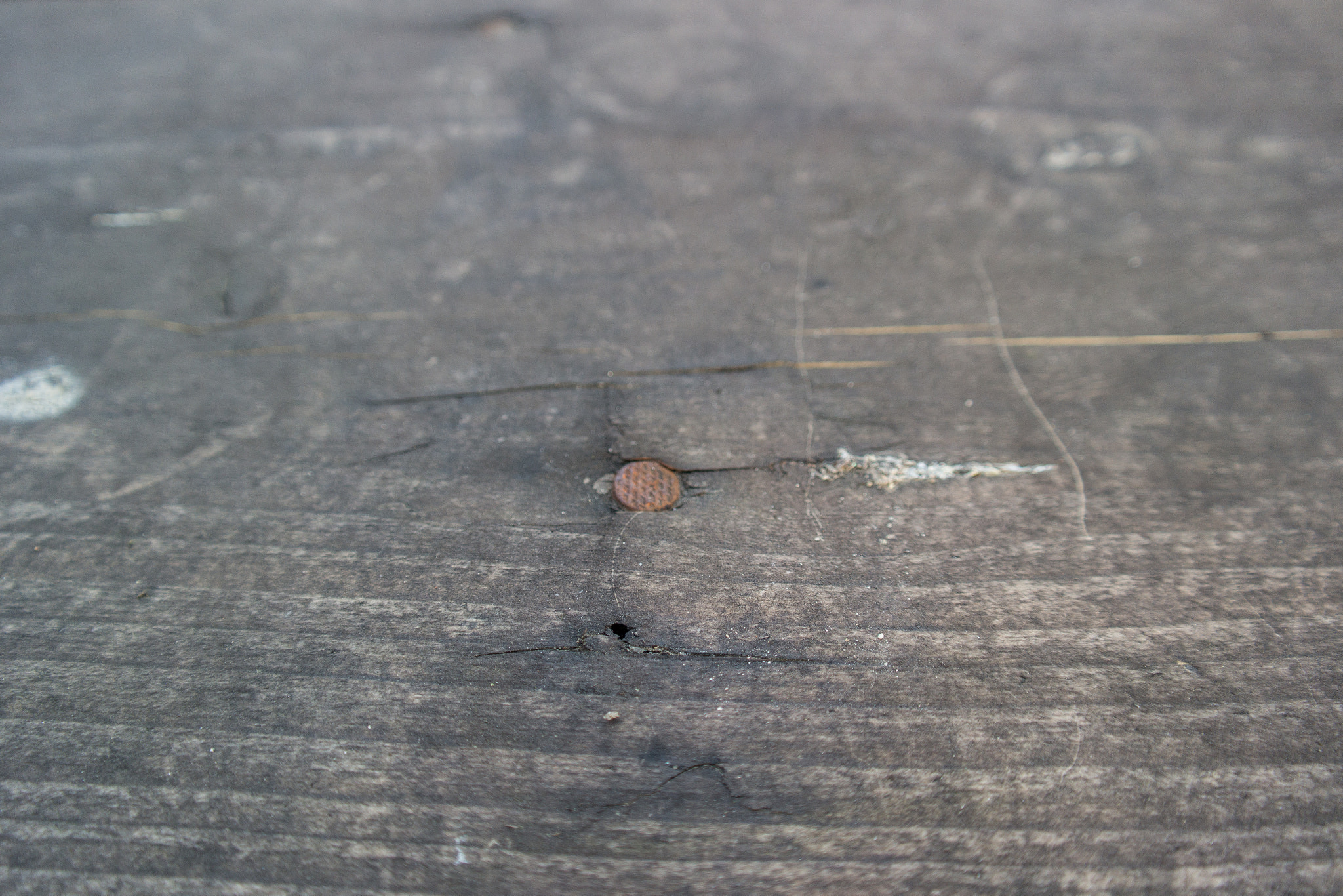 Samsung NX300 + Samsung NX 18-55mm F3.5-5.6 OIS sample photo. A nail in the wood photography