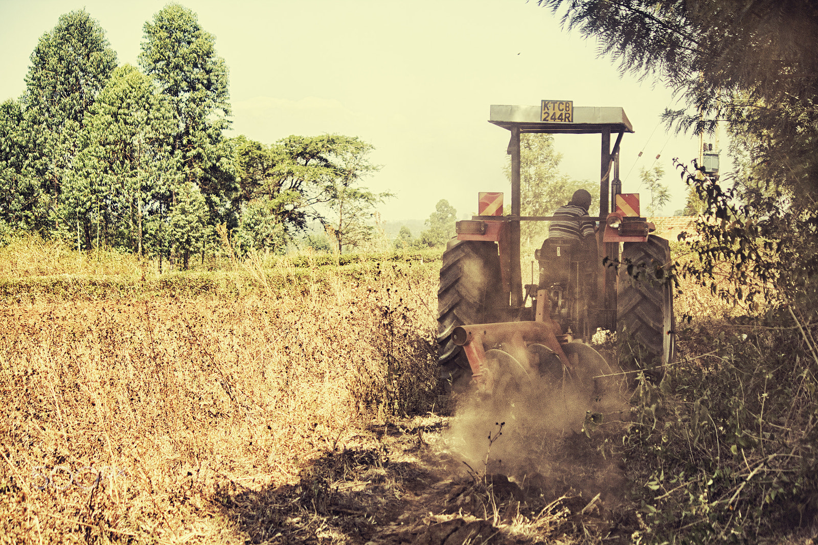 Canon EF-S 55-250mm F4-5.6 IS II sample photo. Tractor ploughing photography