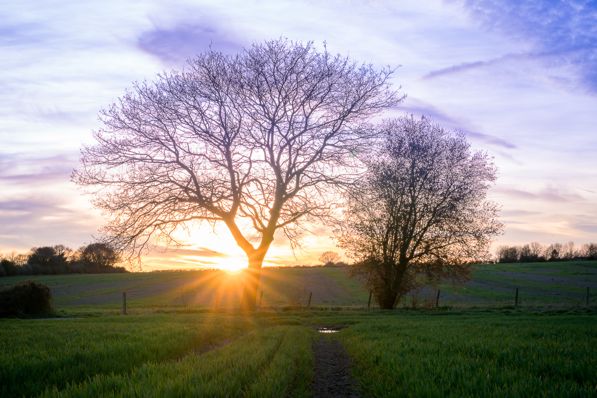 Sony a7R II sample photo. Left photography