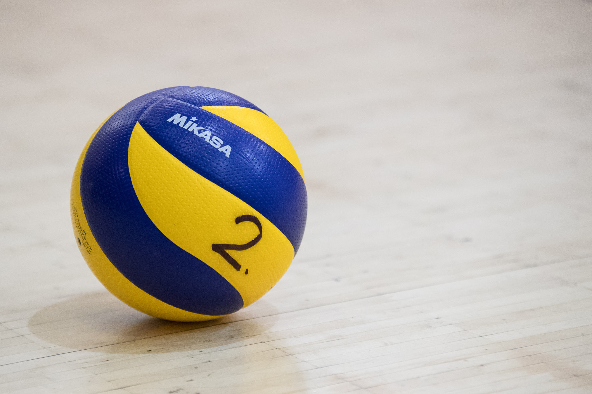 Sigma 70-200mm F2.8 EX DG OS HSM sample photo. Volleyball photography
