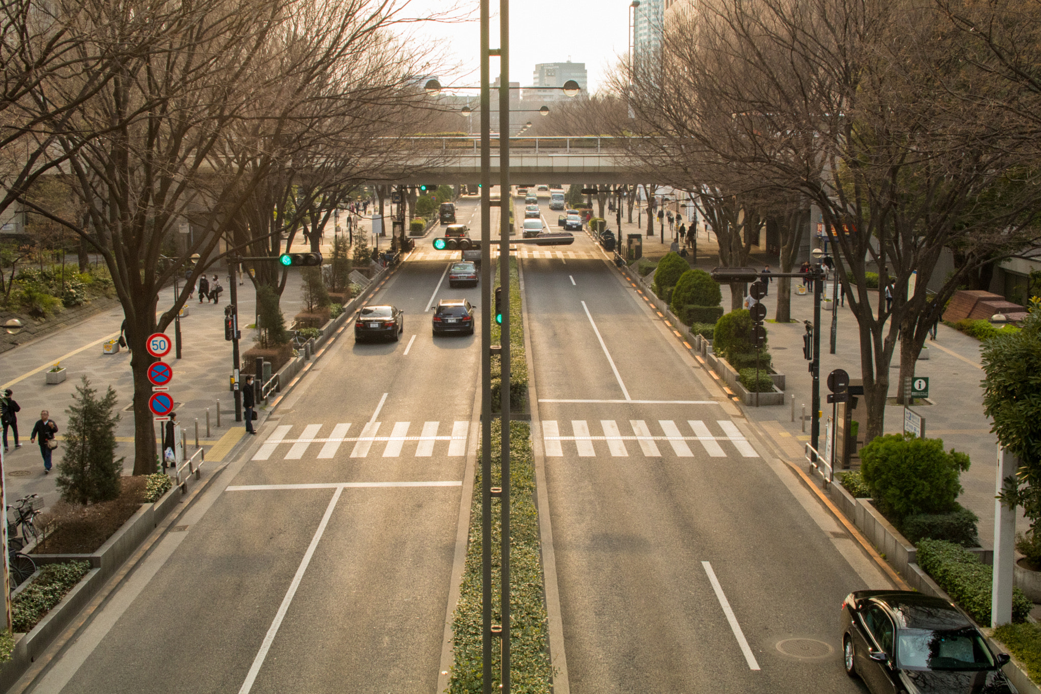 Sigma 30mm F1.4 EX DC HSM sample photo. 新宿路上 photography