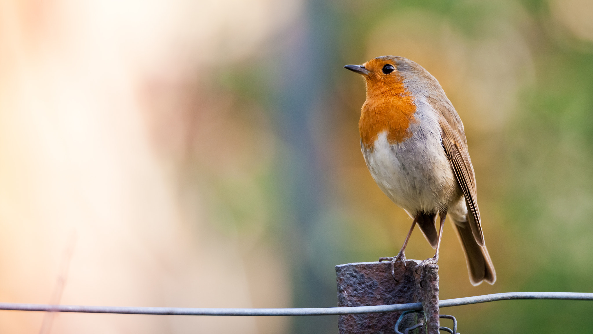Tamron SP 150-600mm F5-6.3 Di VC USD sample photo. Dwelling photography