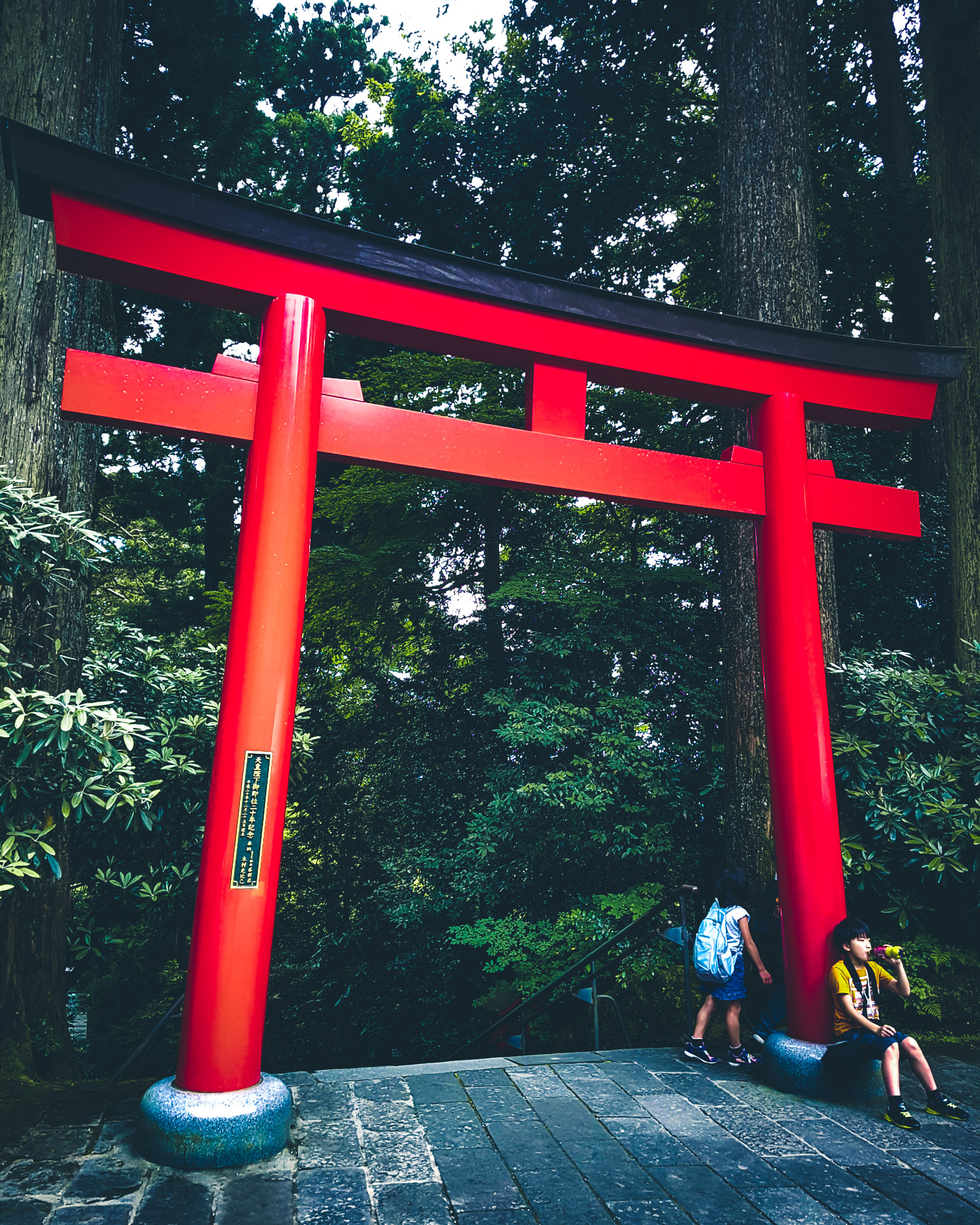 Samsung Galaxy S7 Rear Camera sample photo. Hakone shrine photography