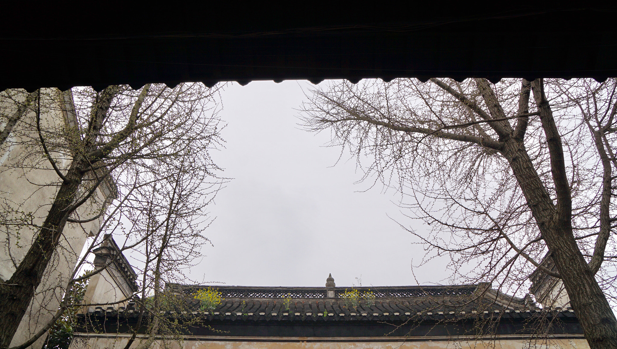Sony a6300 + Sony Vario-Tessar T* E 16-70mm F4 ZA OSS sample photo. Roof and garden photography