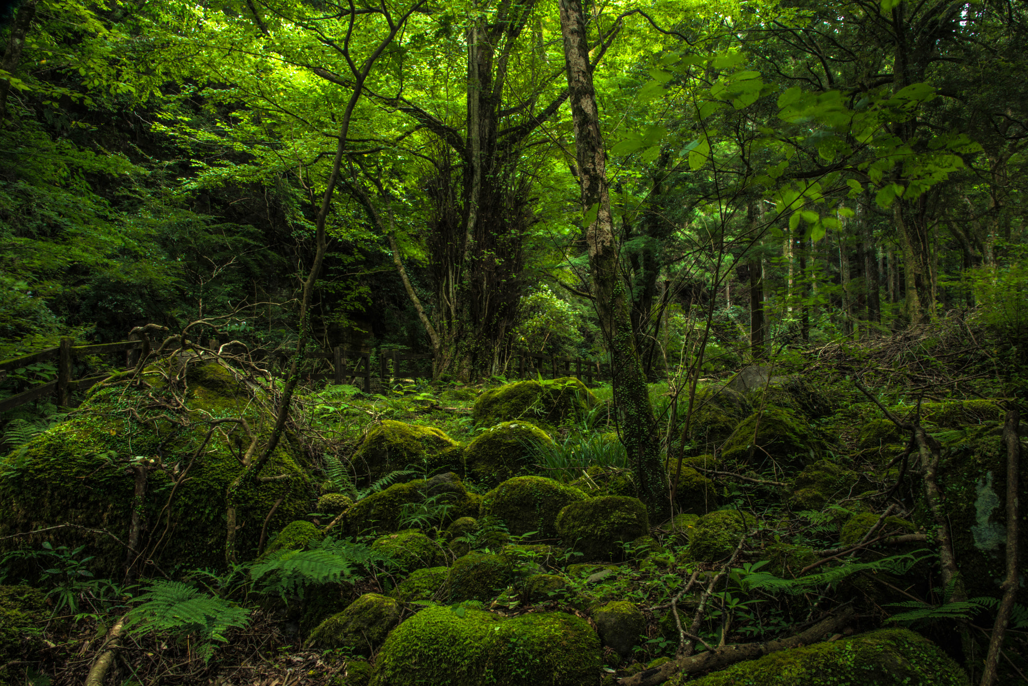 Nikon AF-S Nikkor 24-120mm F4G ED VR sample photo