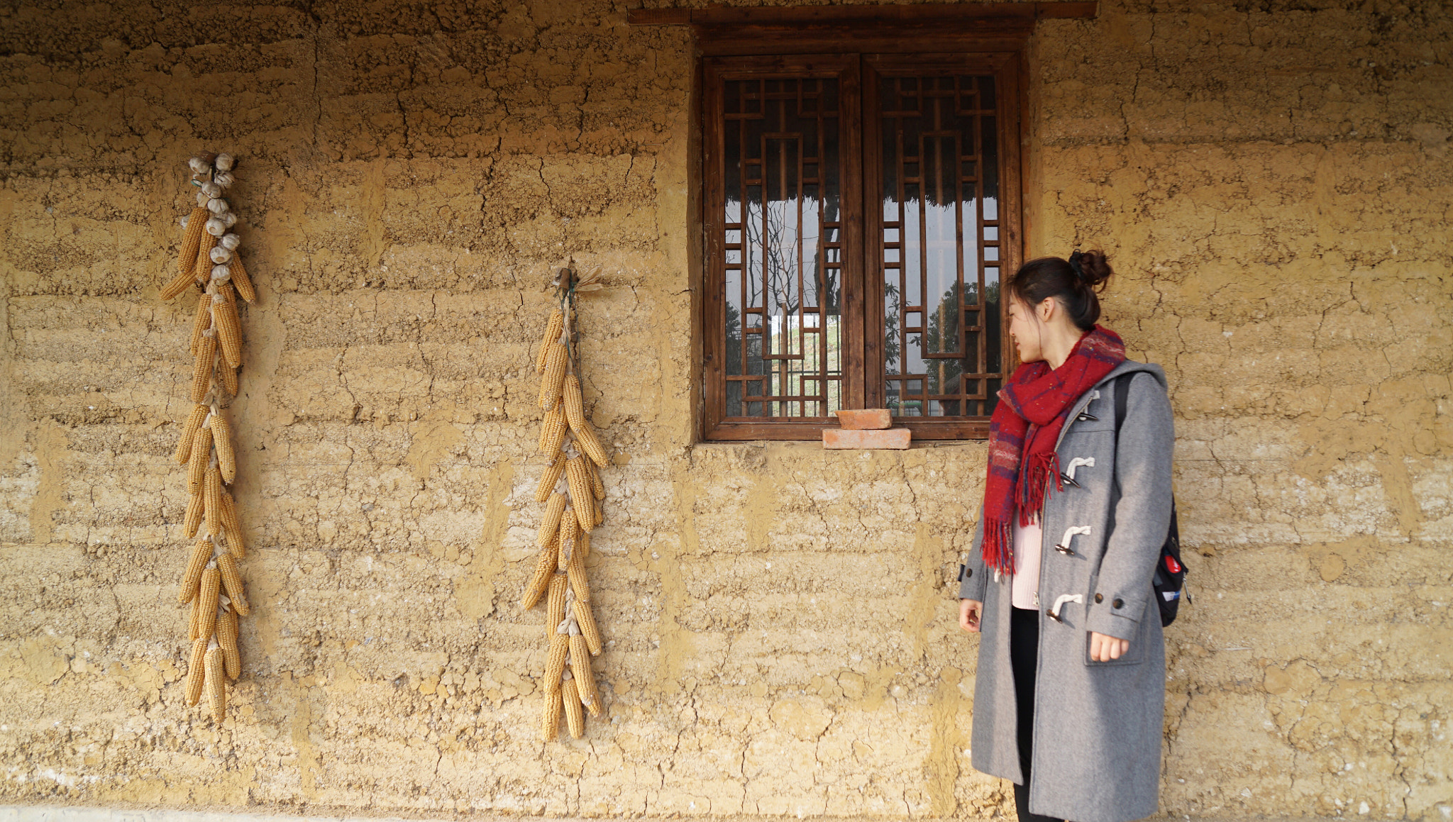 Sony a6300 + Sony Vario-Tessar T* E 16-70mm F4 ZA OSS sample photo. Window photography