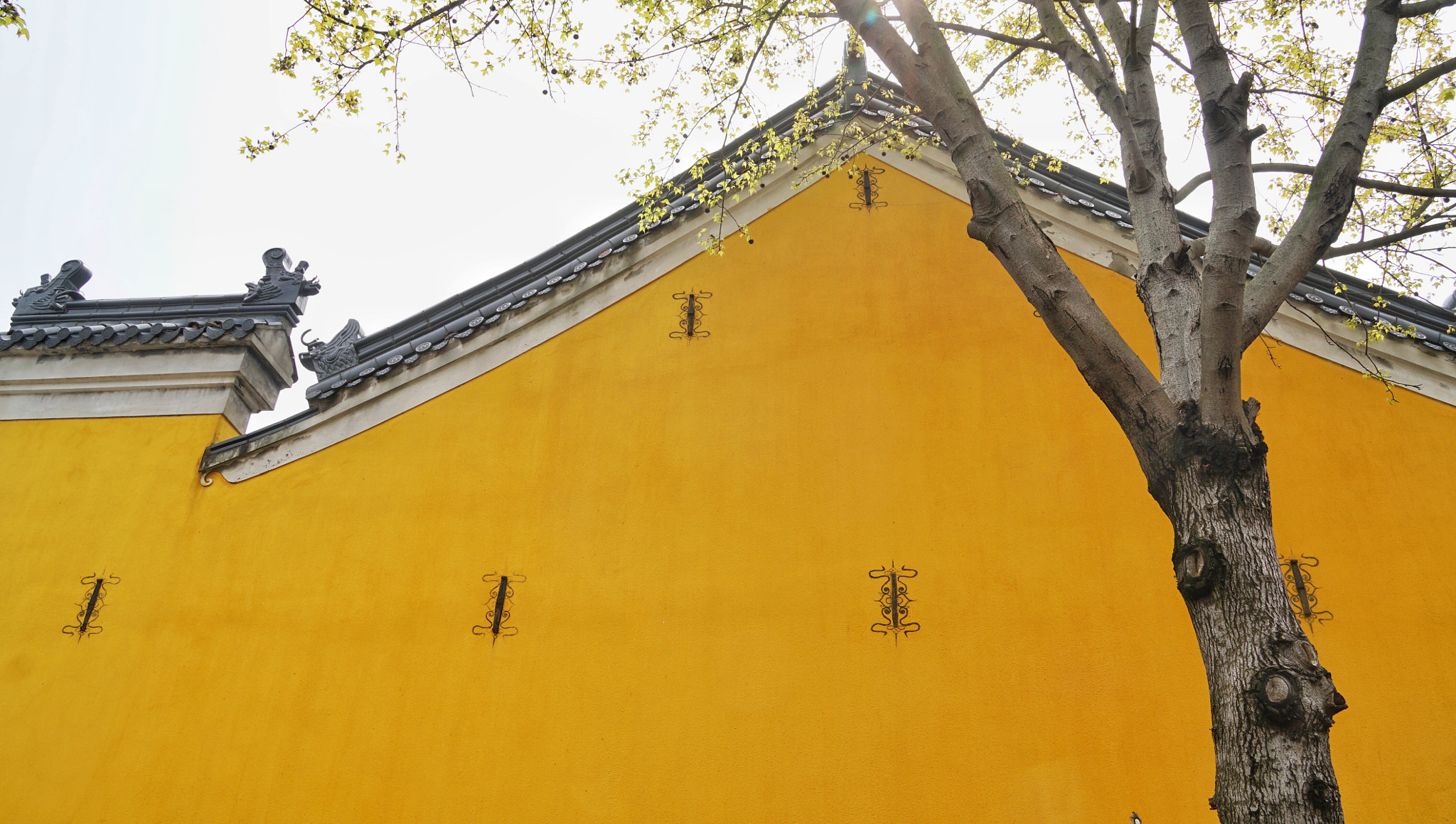 Sony a6300 + Sony Vario-Tessar T* E 16-70mm F4 ZA OSS sample photo. Yellow roof photography
