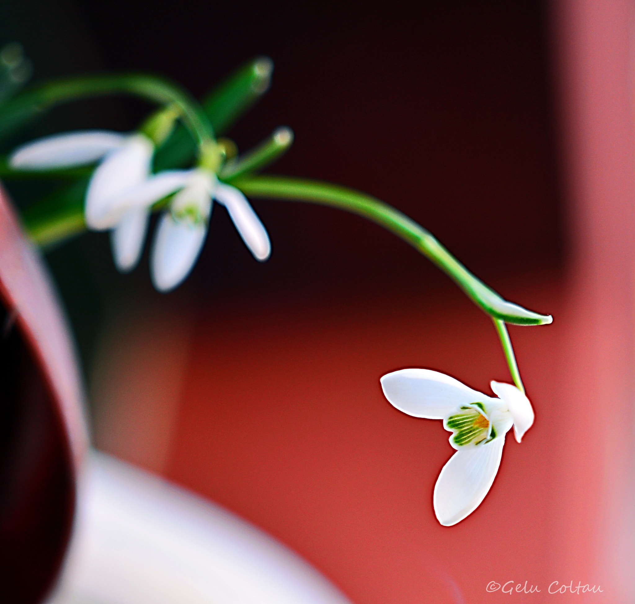 Nikon D7100 + Sigma 18-35mm F1.8 DC HSM Art sample photo. 4.jpg photography