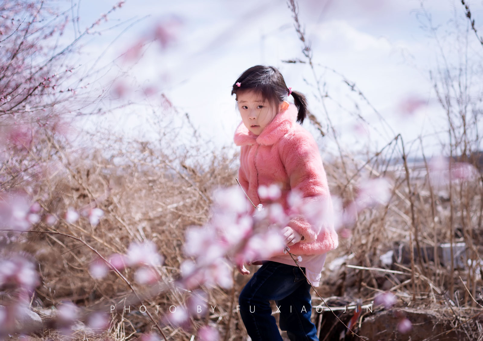 Nikon D610 + Nikon AF Nikkor 50mm F1.8D sample photo