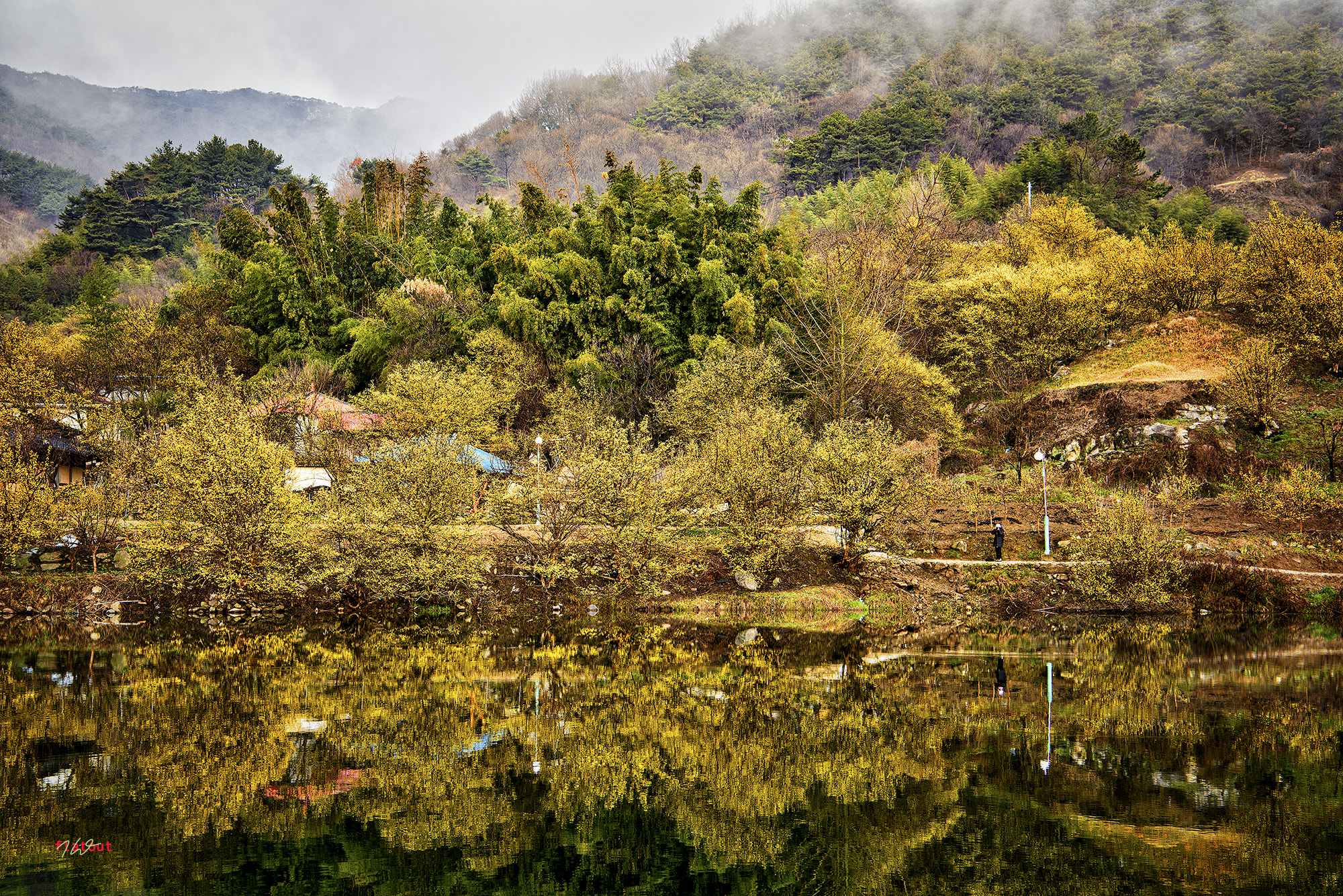 Nikon AF-S Nikkor 24-70mm F2.8E ED VR sample photo. 구례, 현천마을의 산수유 photography
