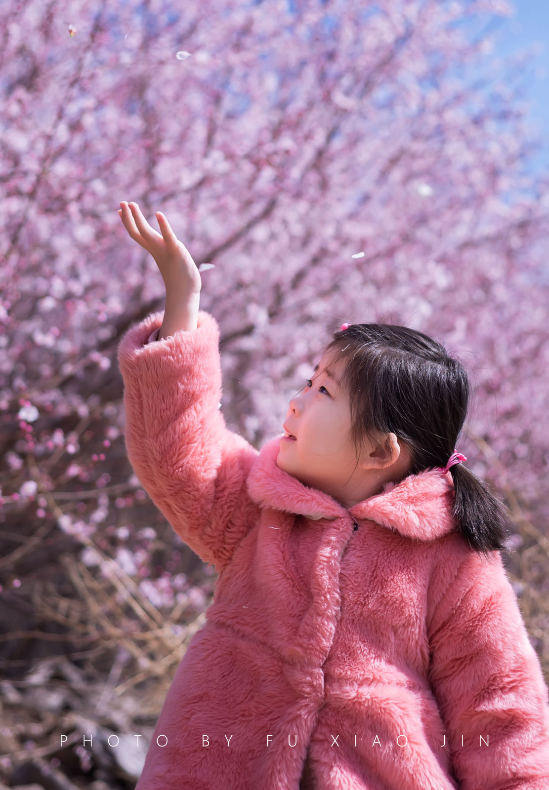 Nikon D610 + Nikon AF Nikkor 50mm F1.8D sample photo
