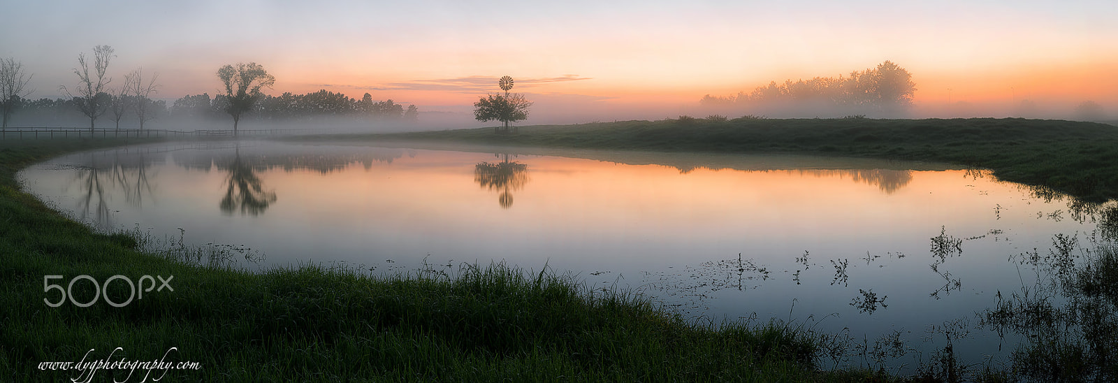 Sigma 24-70mm F2.8 EX DG HSM sample photo. Richmond lowlands photography
