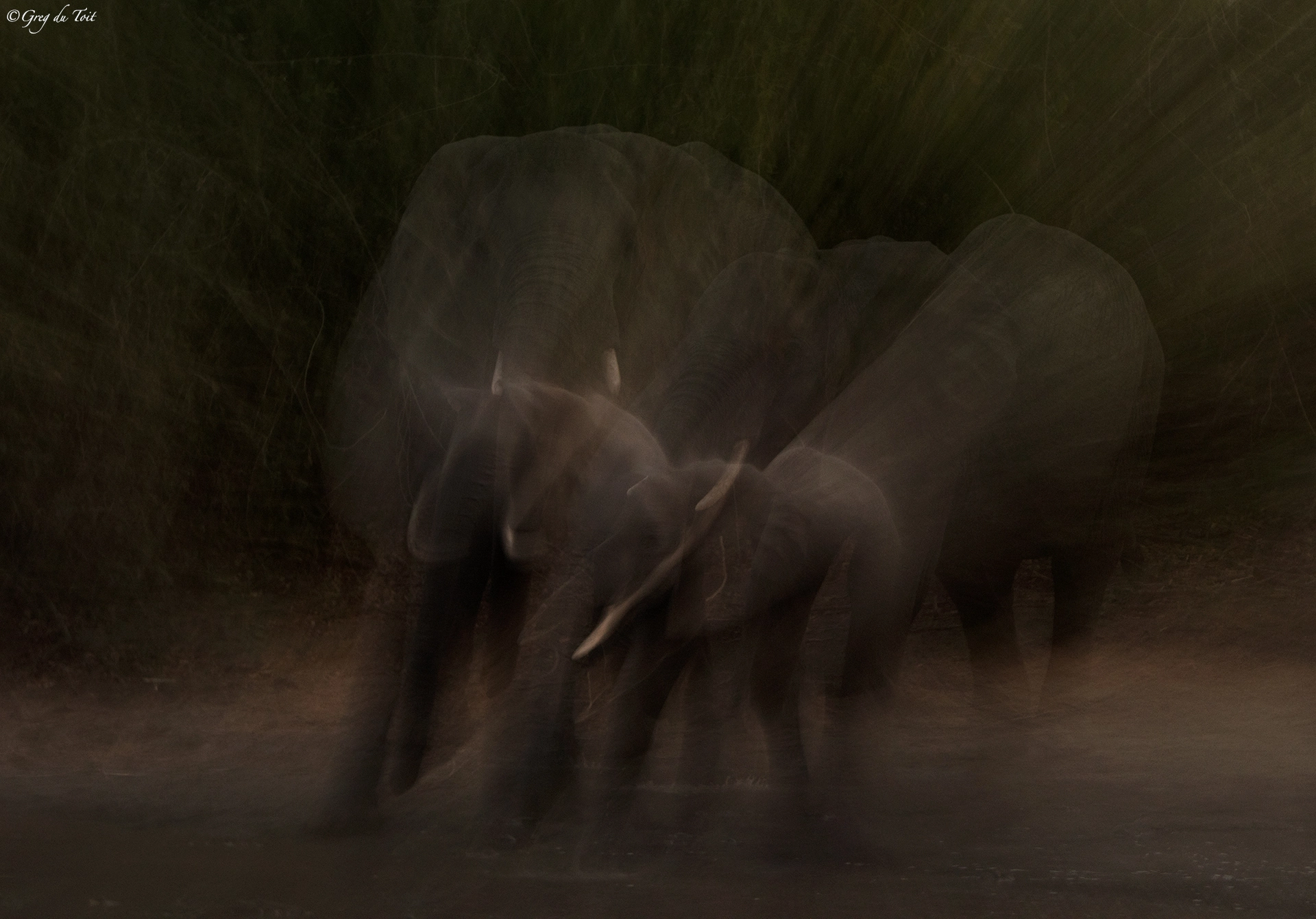 Nikon D810 sample photo. Grey ghosts photography