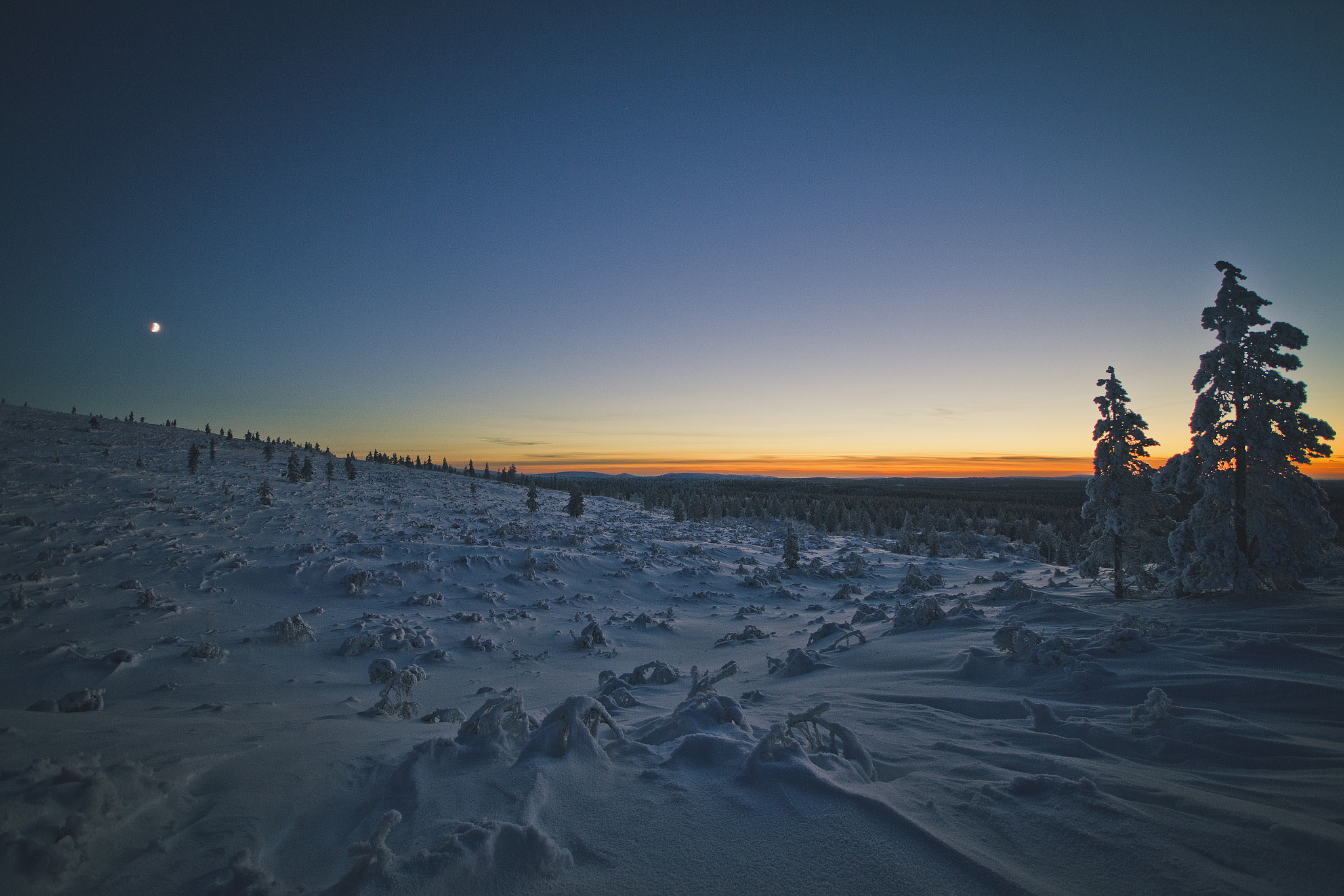Sigma 10-20mm F4-5.6 EX DC HSM sample photo. The blue moment i photography