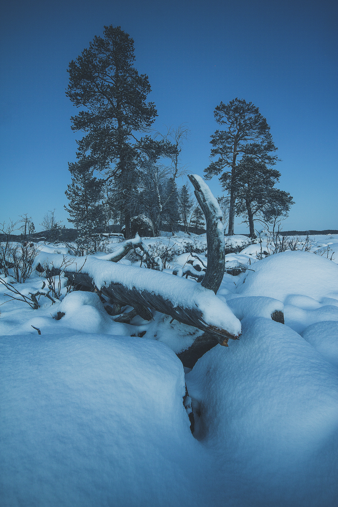 Canon EOS 60D + Sigma 10-20mm F4-5.6 EX DC HSM sample photo. Upon the dead photography