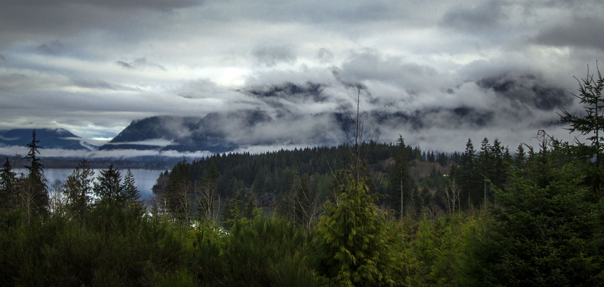 Canon EF-S 18-55mm F3.5-5.6 II sample photo. Quinault lake clearing photography