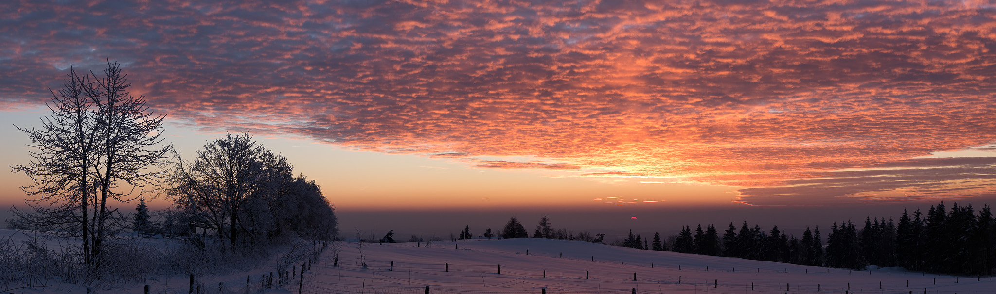 Panasonic Lumix DMC-GX7 + Olympus M.Zuiko Digital 45mm F1.8 sample photo. Winter at herchenhainer hoehe photography