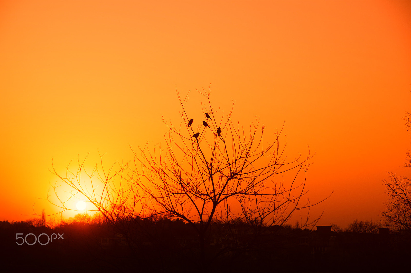 Pentax K-7 sample photo. Sunset photography