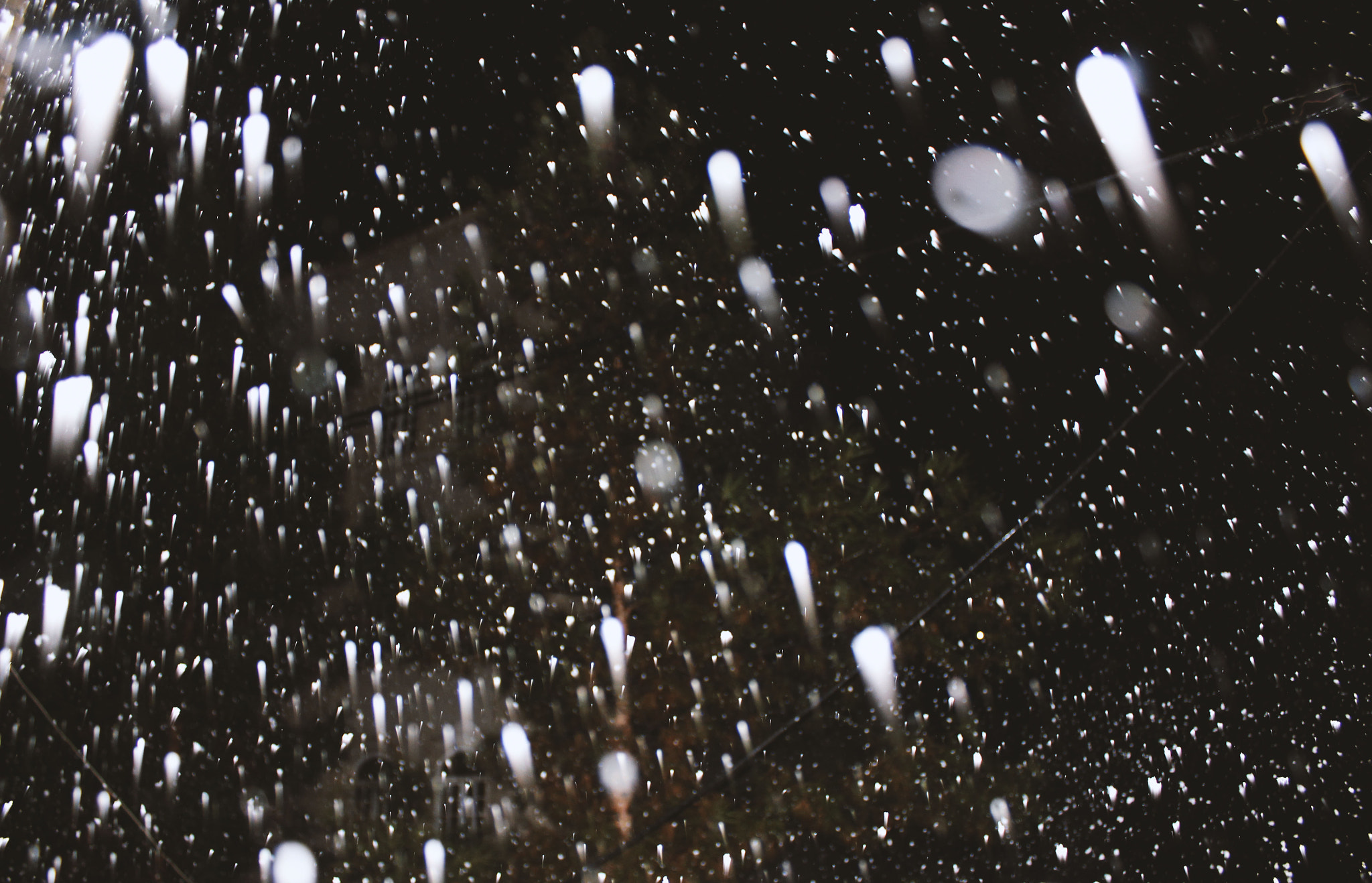 Canon EOS 550D (EOS Rebel T2i / EOS Kiss X4) sample photo. Starry night. photography