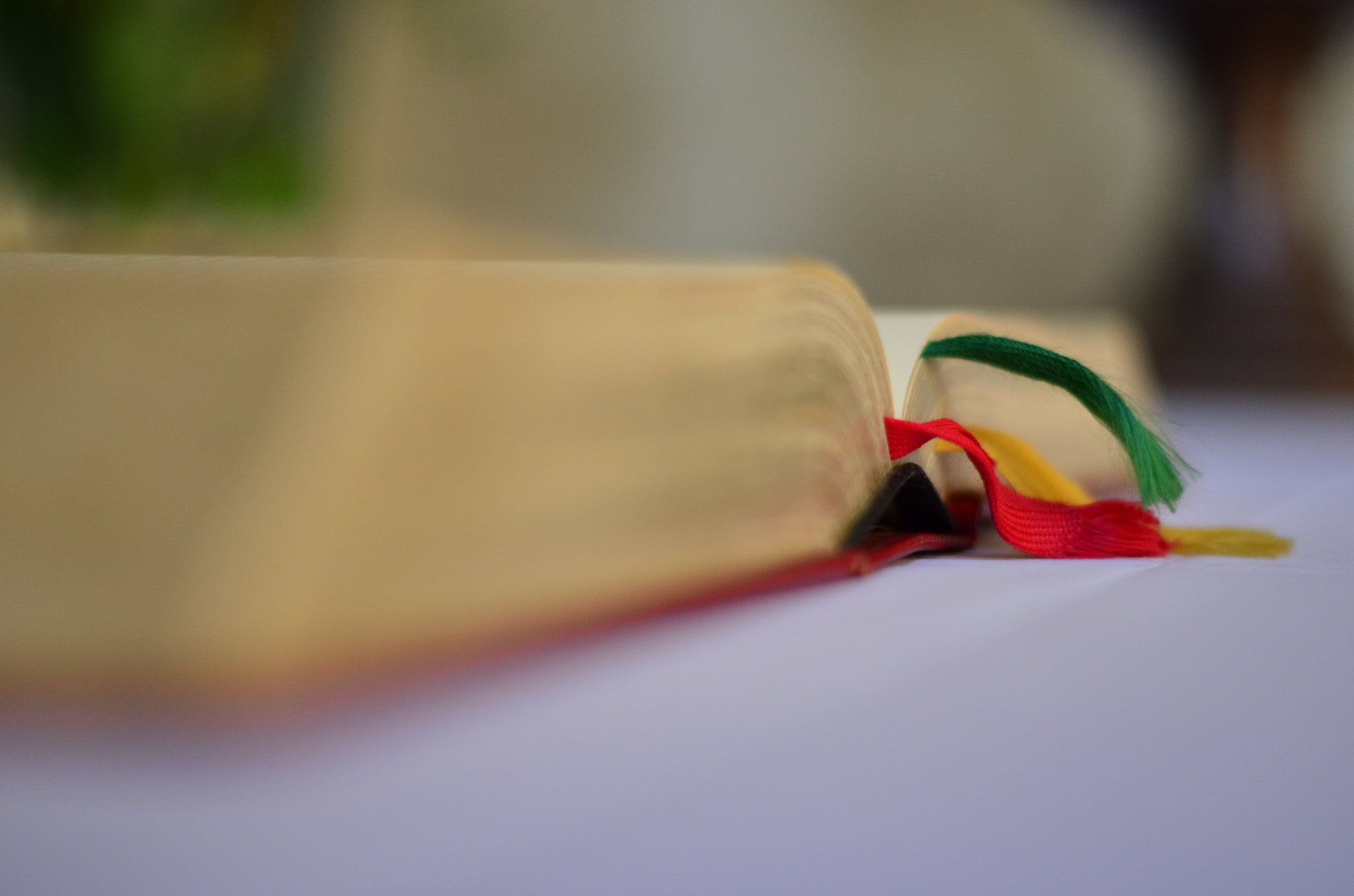 Nikon D7000 + Nikon AF-S Nikkor 50mm F1.4G sample photo. Kloster drübeck photography