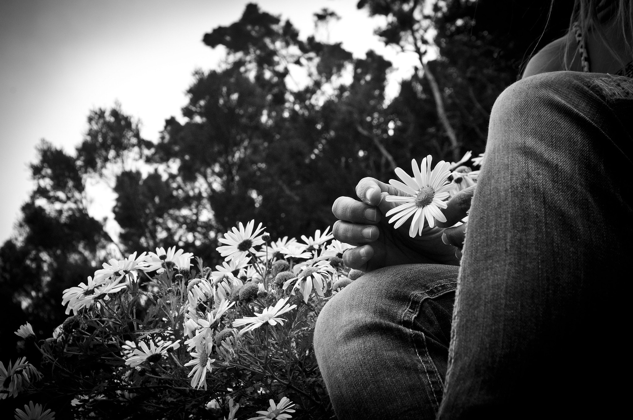 Nikon D90 sample photo. Yes or no photography