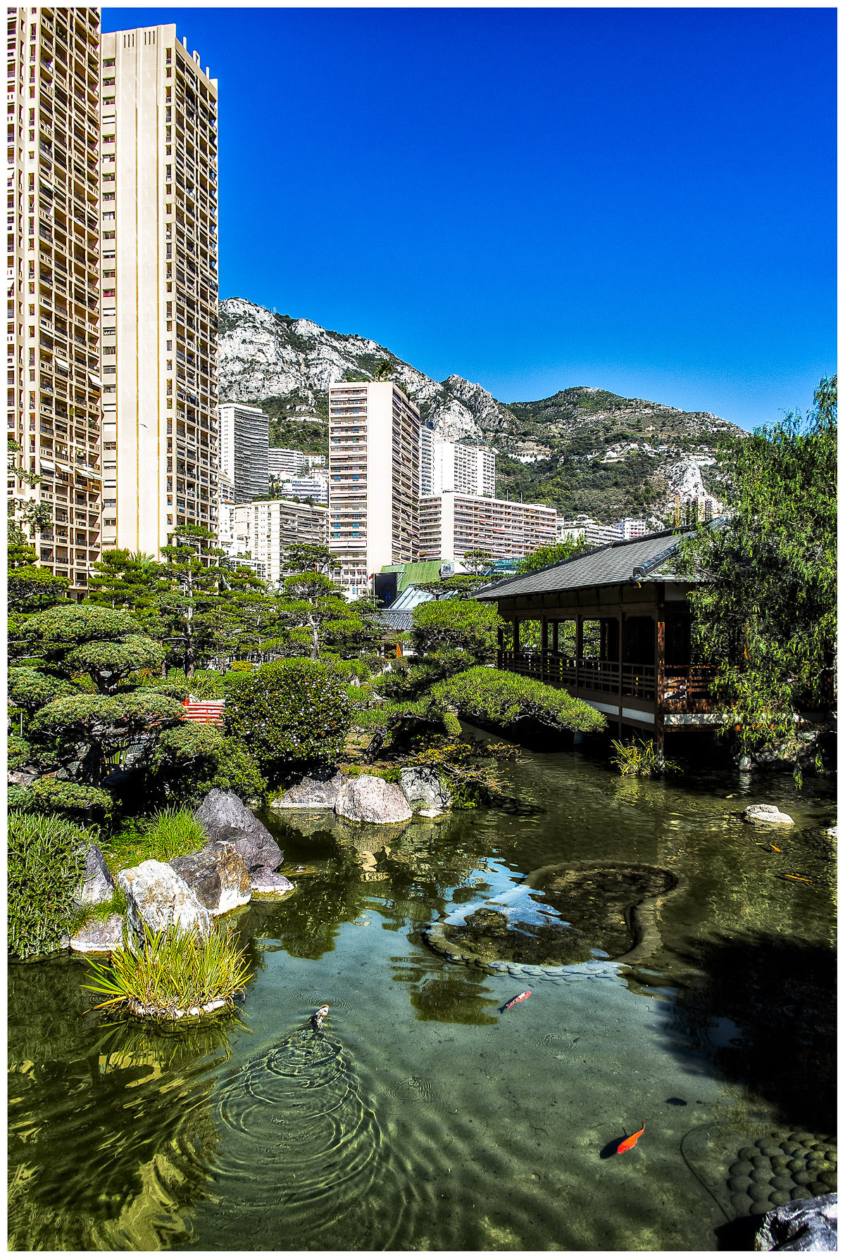 Fujifilm X-Pro1 + Fujifilm XF 18mm F2 R sample photo. The princess grace gardens in monte carlo photography