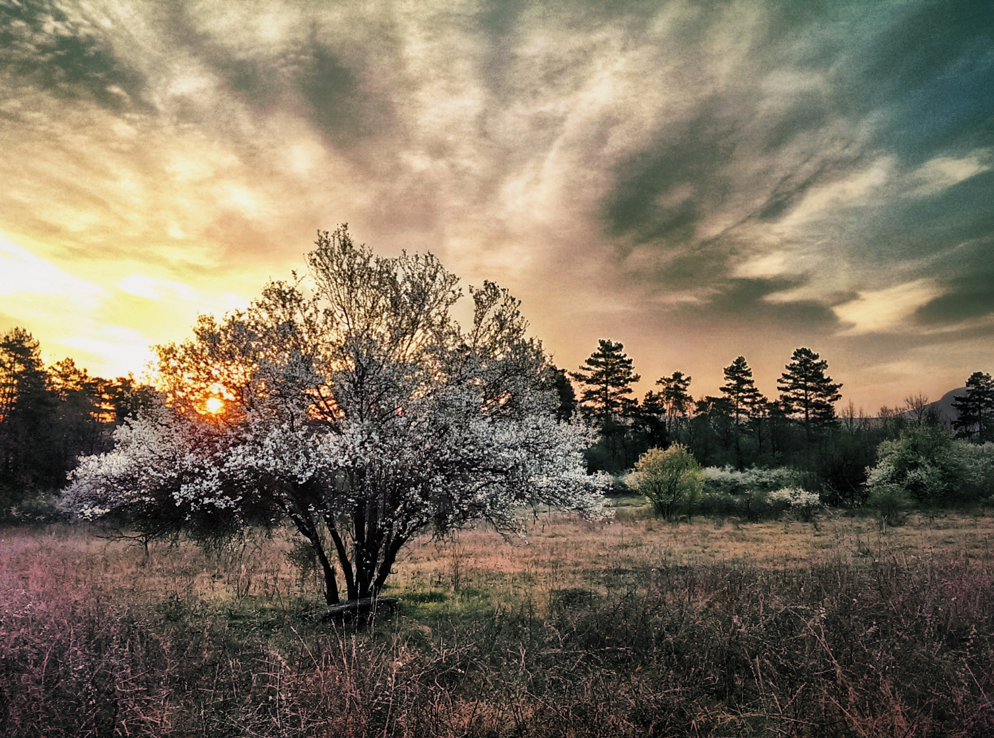 HTC ONE sample photo. A new round in life photography