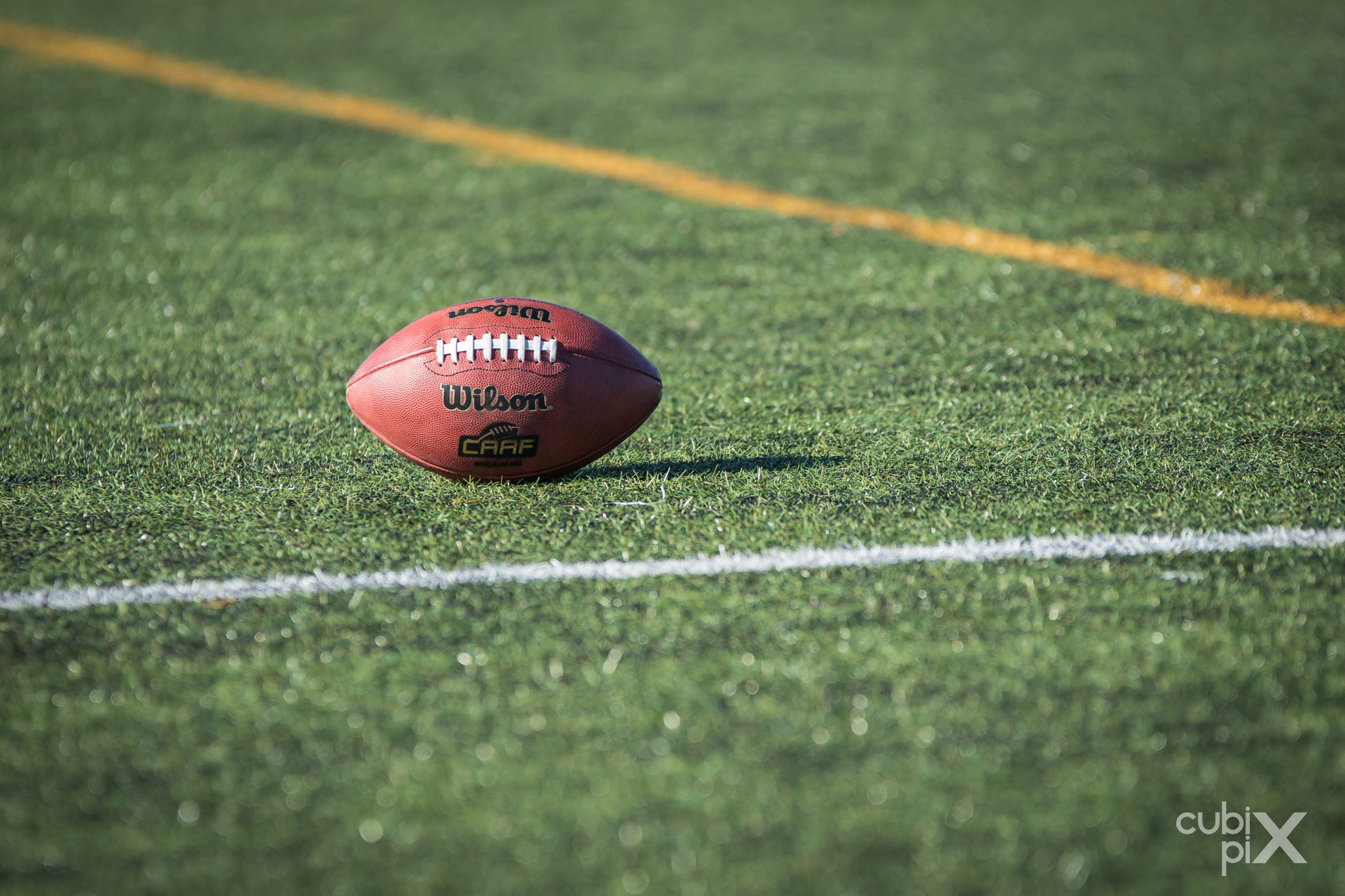 Sigma 70-200mm F2.8 EX DG OS HSM sample photo. Ball on the field photography