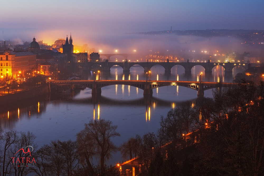 Canon EF 70-300mm F4-5.6L IS USM sample photo. Charles bridge martin rak photography
