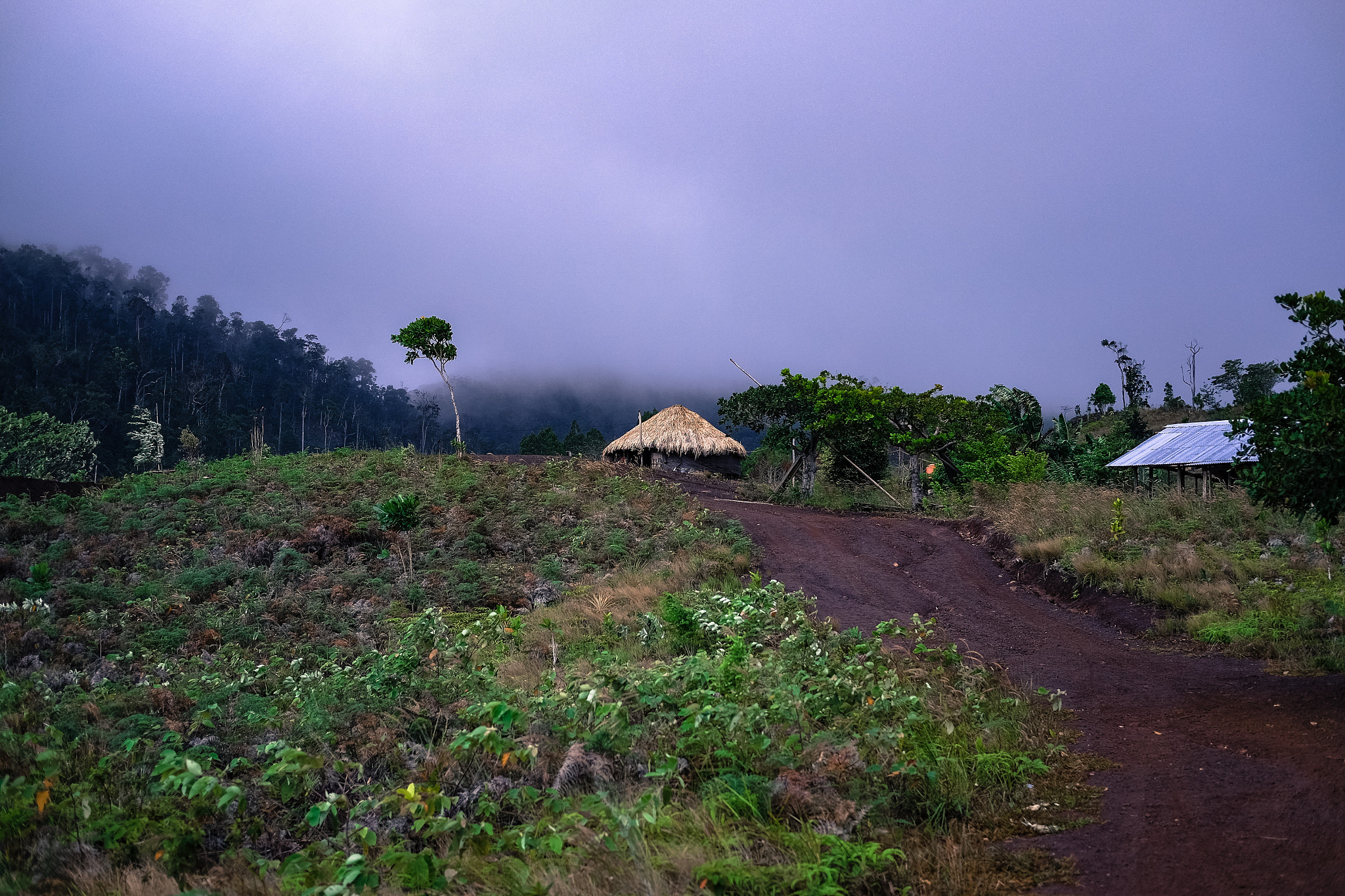 Fujifilm X-E2 + Fujifilm XF 35mm F2 R WR sample photo. Honai, papua traditional house. photography