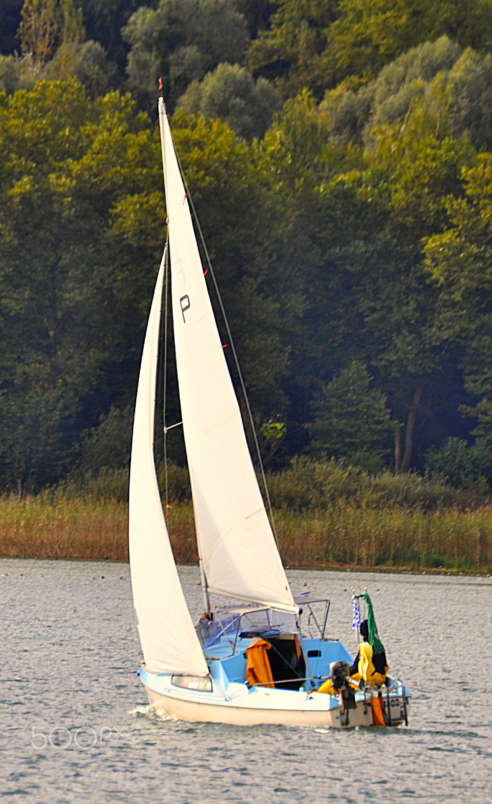 Nikon D90 sample photo. Segelboot photography
