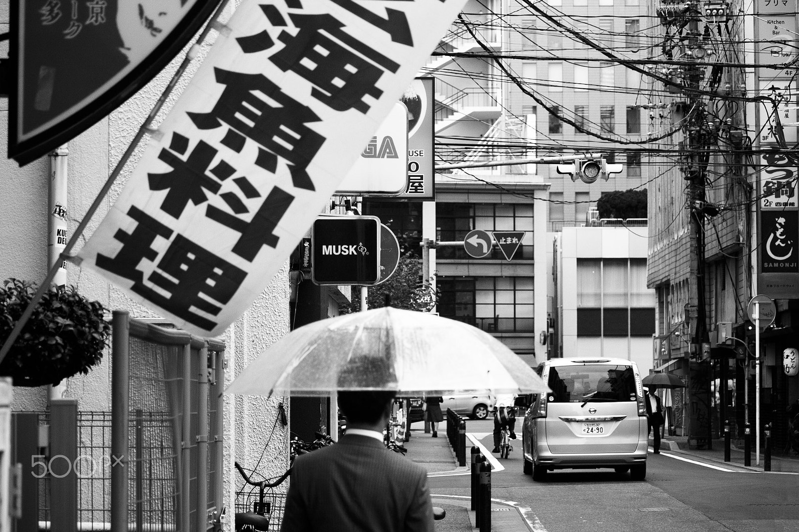 Canon EF-S 55-250mm F4-5.6 IS sample photo. Musk photography