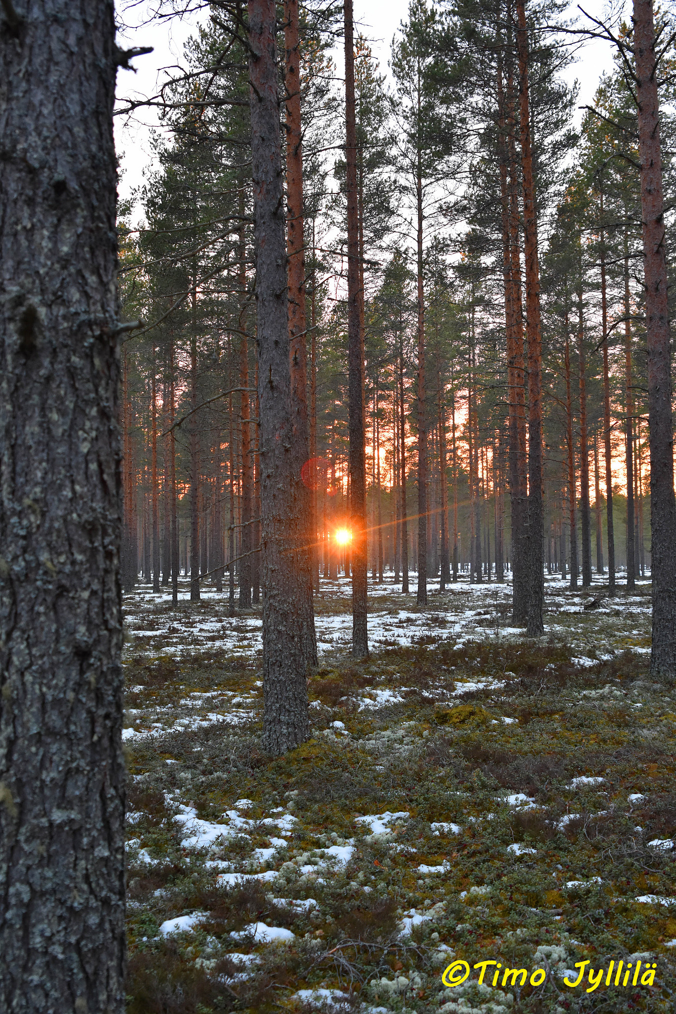 Nikon D7200 + Sigma 24-70mm F2.8 EX DG HSM sample photo. The sun goes down photography