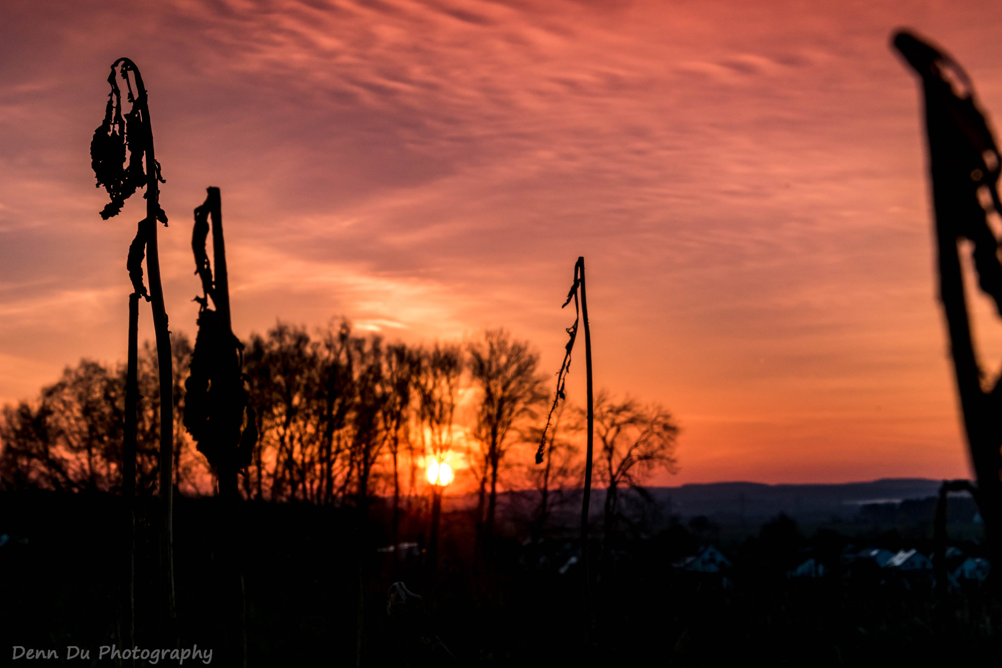 Sony ILCA-77M2 sample photo. Sonnenuntergang märz 2017 photography