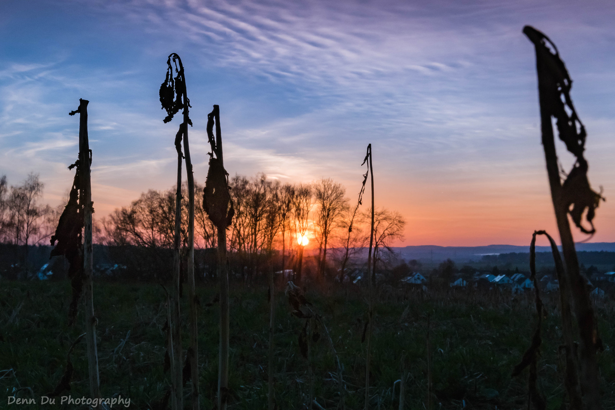 Tamron SP 24-70mm F2.8 Di VC USD sample photo. Sonnenuntergang märz 2017 photography