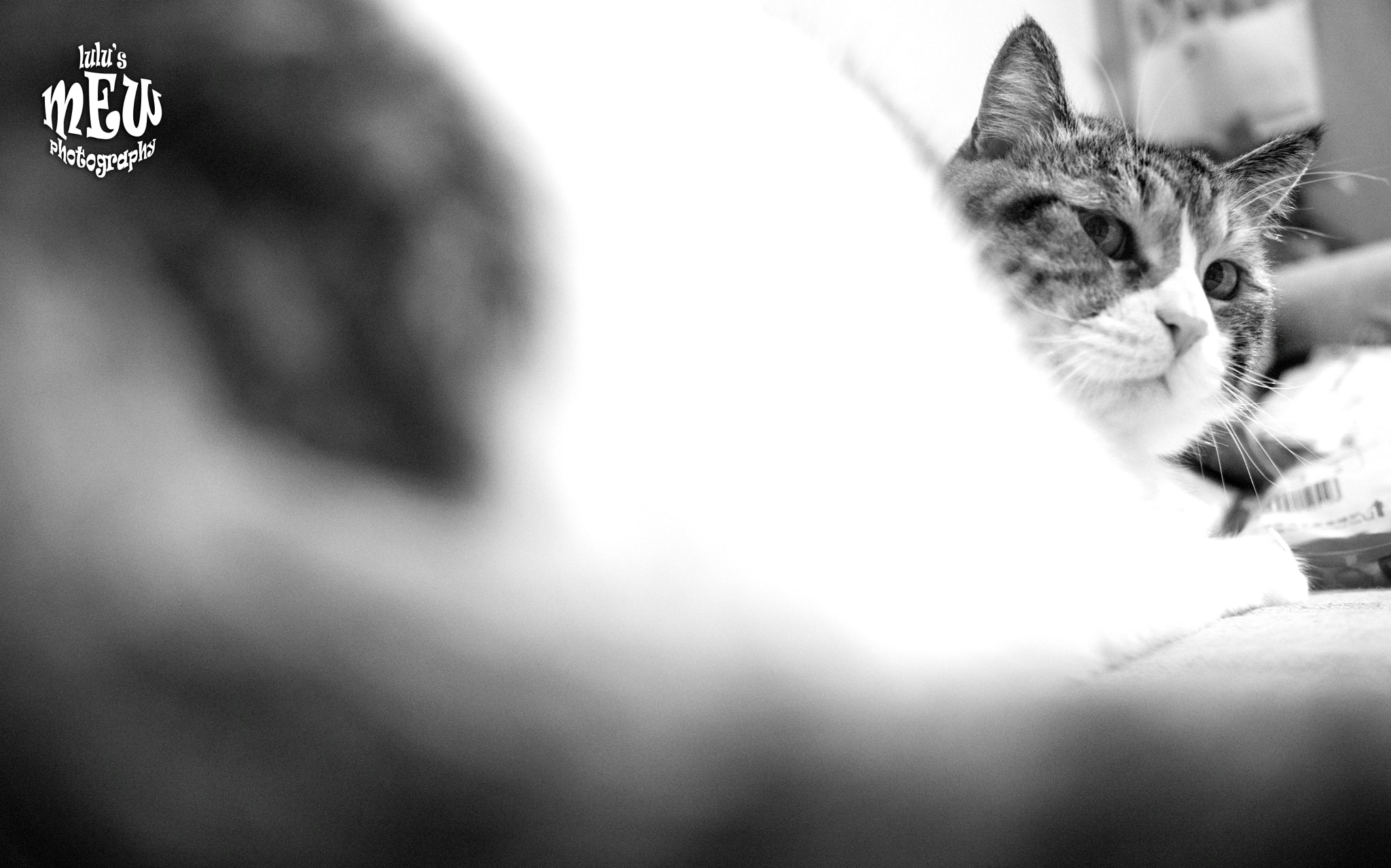 Nikon AF-S Nikkor 24-70mm F2.8E ED VR sample photo