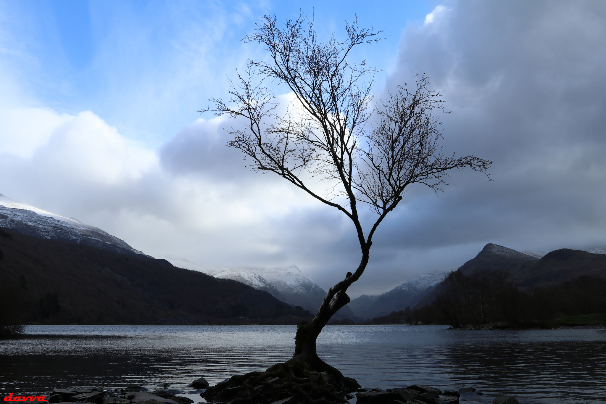 Canon EOS 80D + Canon EF 17-40mm F4L USM sample photo. The lonely tree photography