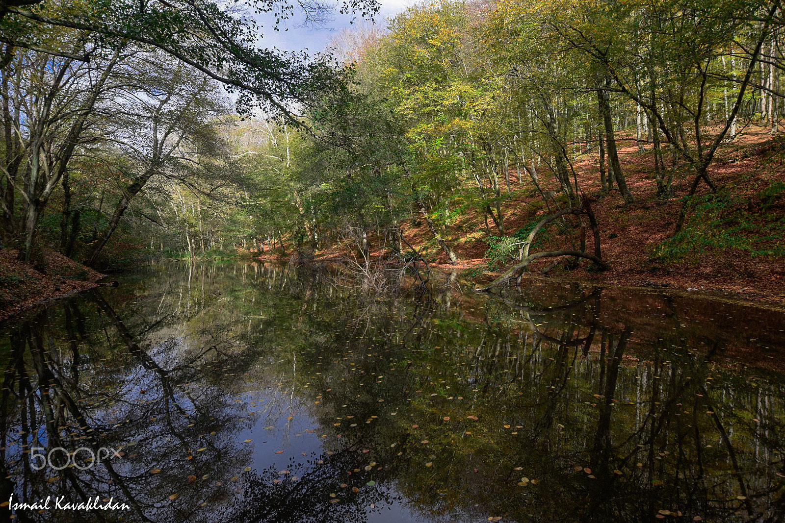 Nikon D5300 + Sigma 10-20mm F3.5 EX DC HSM sample photo. Nature photography