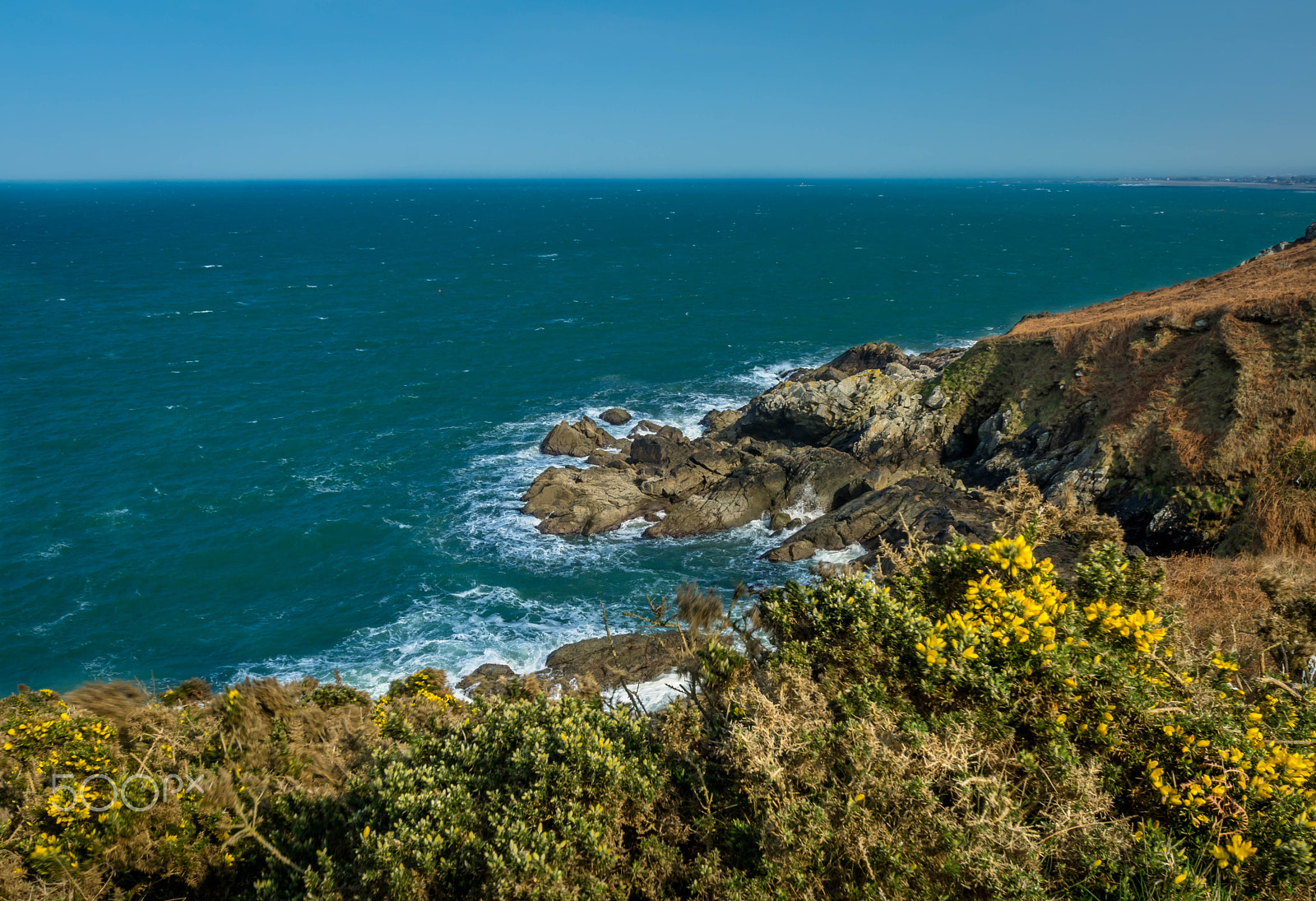 Pentax K-3 II sample photo. Sur les chemins cotiers de la hague photography
