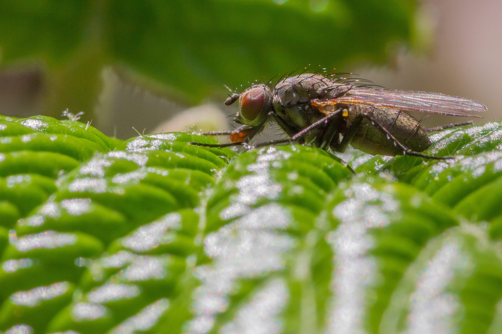 Canon EOS 7D sample photo. La nature se réveille photography