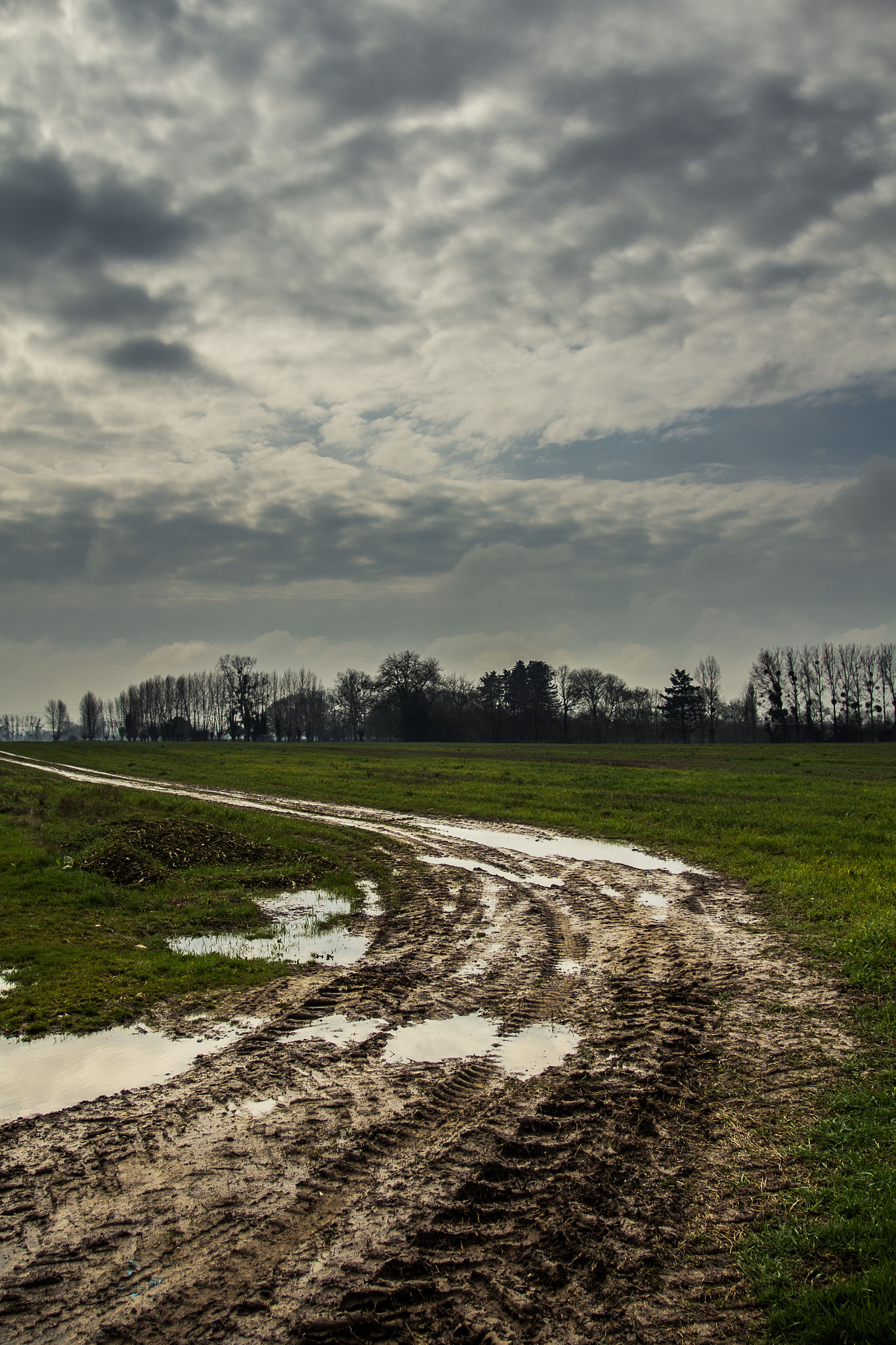 Canon EOS 600D (Rebel EOS T3i / EOS Kiss X5) + Canon EF 17-40mm F4L USM sample photo. Chemin de campagne photography