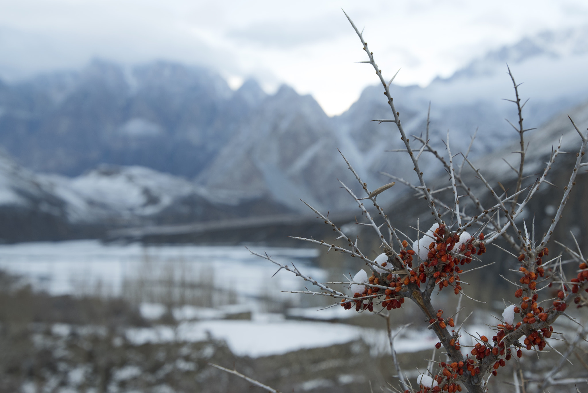 Nikon D750 sample photo. Red & white photography