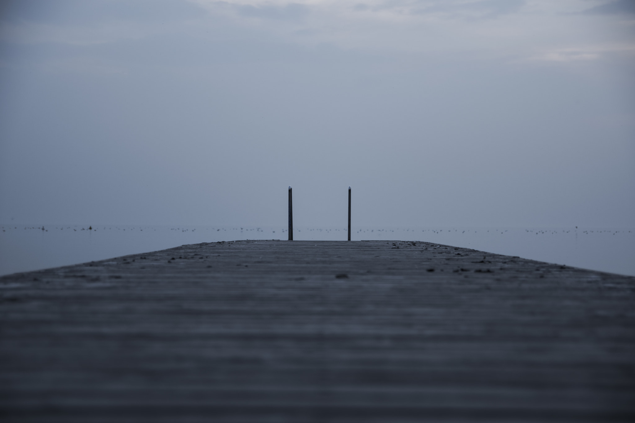 Sigma 17-50mm F2.8 EX DC OS HSM sample photo. Fog photography