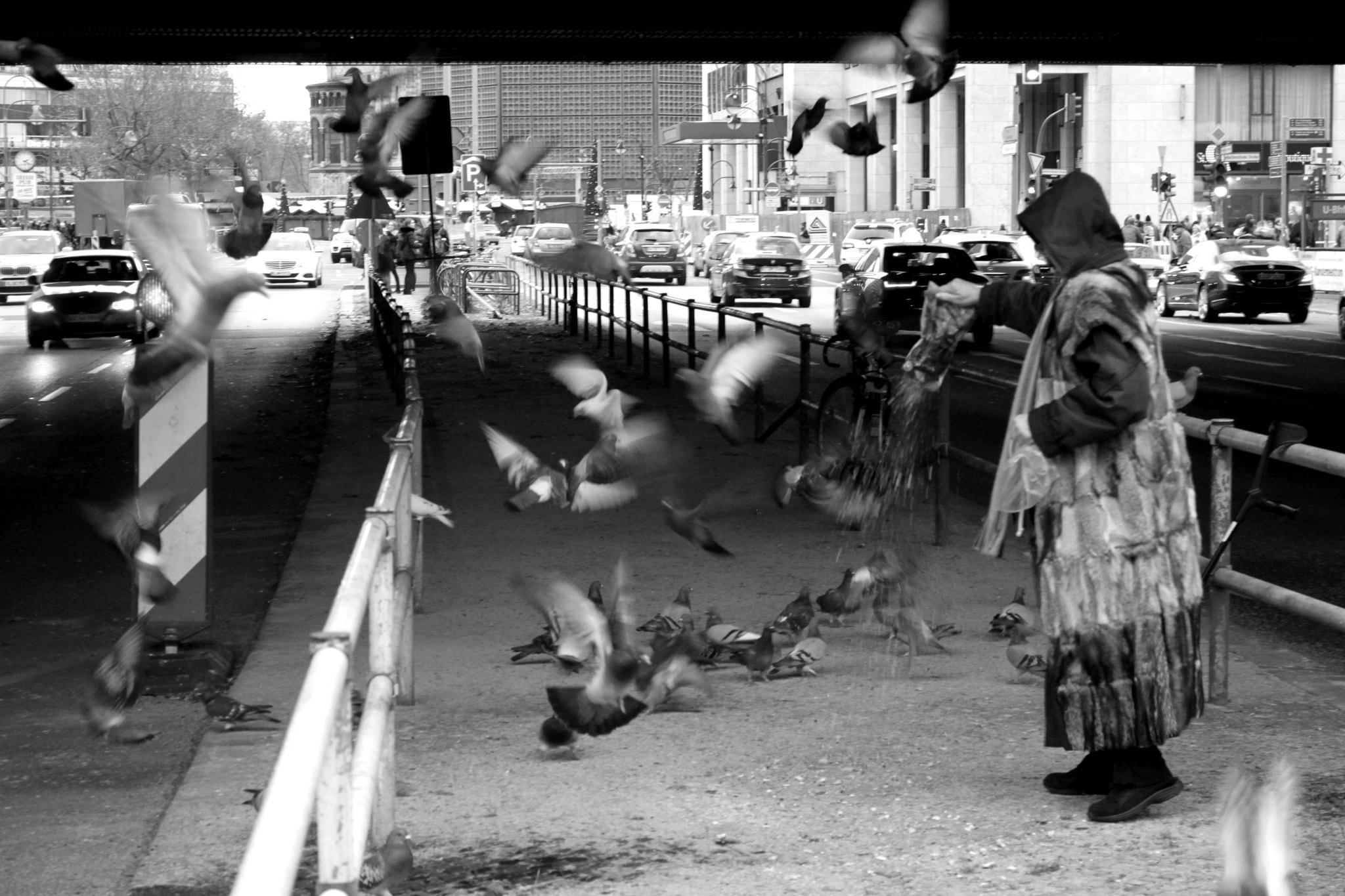 Canon EOS 500D (EOS Rebel T1i / EOS Kiss X3) sample photo. Bird lady photography