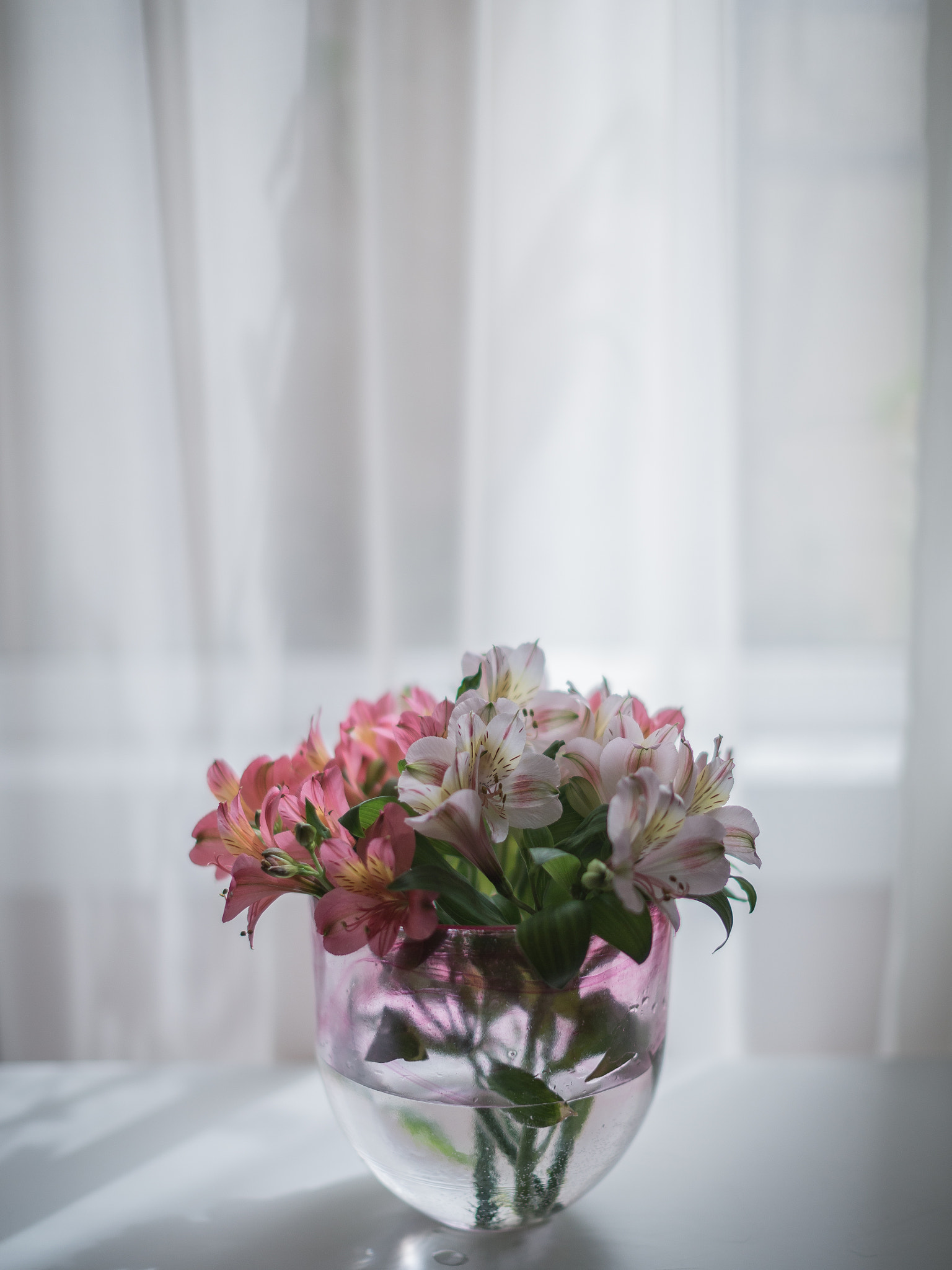 Canon EF 50mm F1.2L USM sample photo. . photography